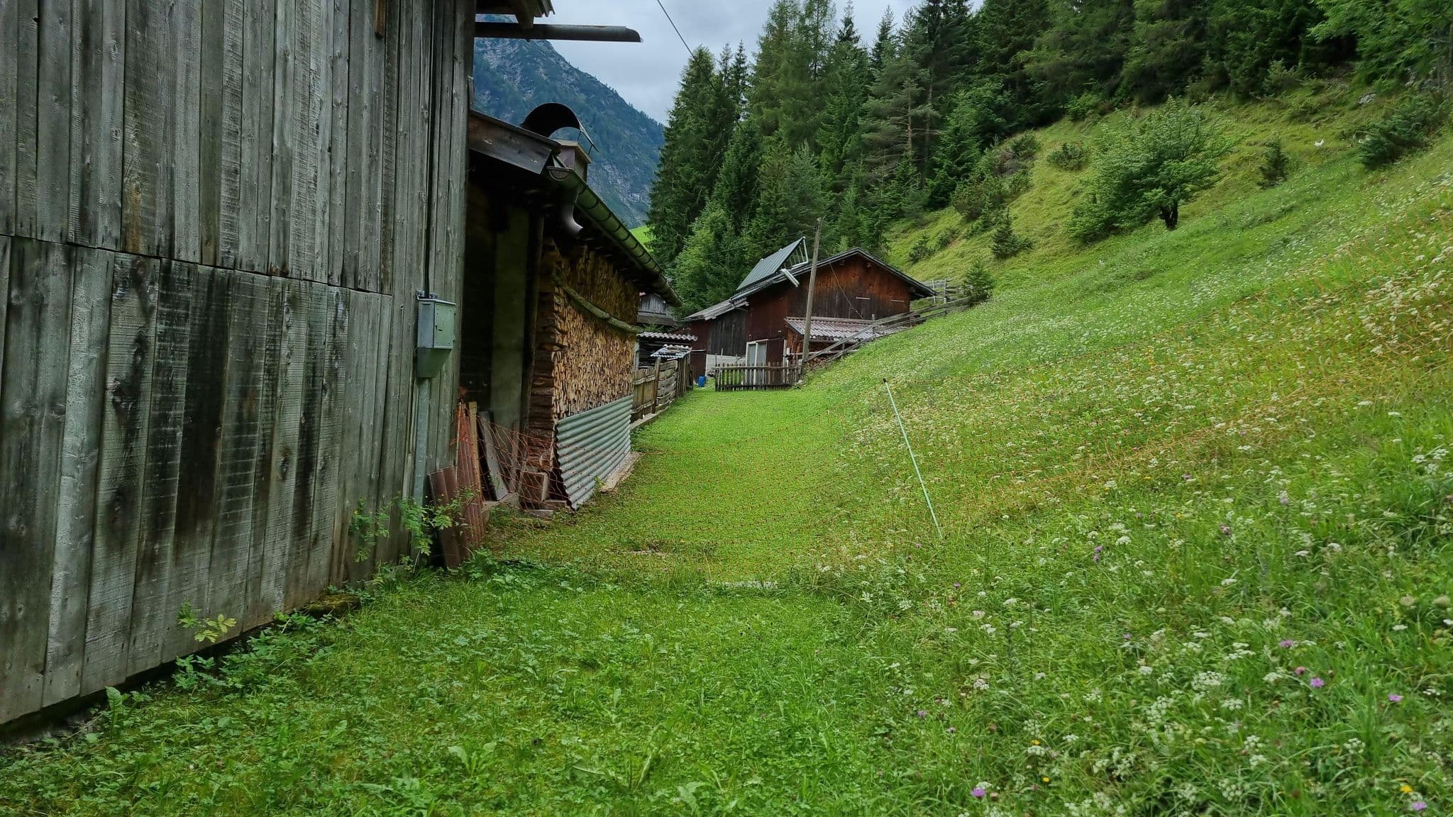 Street view near Schnöller, Pettneu