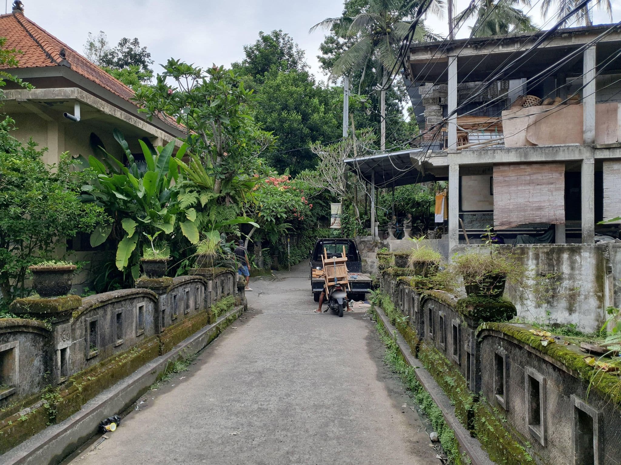 Street view near Ubud Budget Hostel aka Coconut Ubud Hostel, Ubud