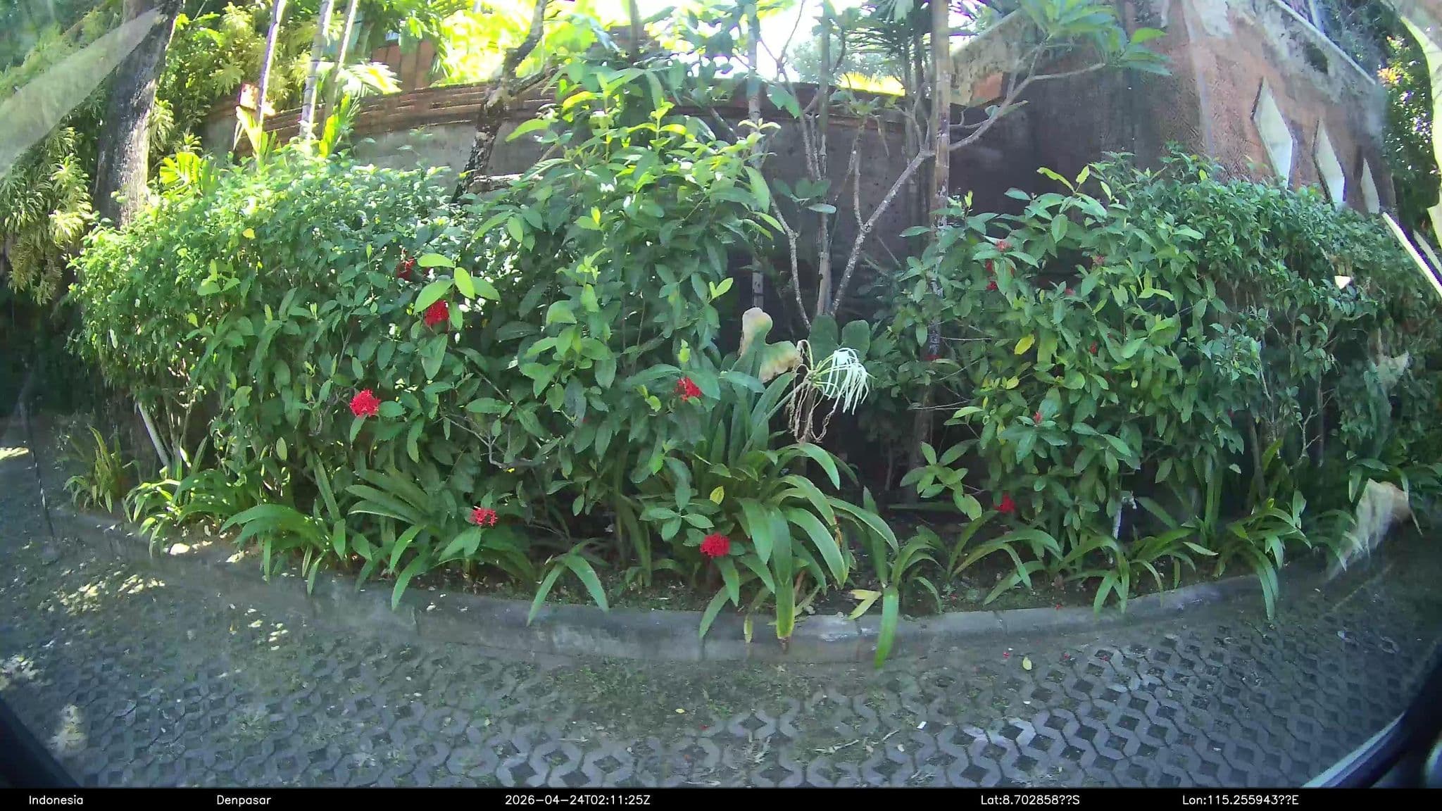 Street view near The Alantara Sanur, Sanur — © Kaart---LEFT (CC BY-SA · Mapillary)