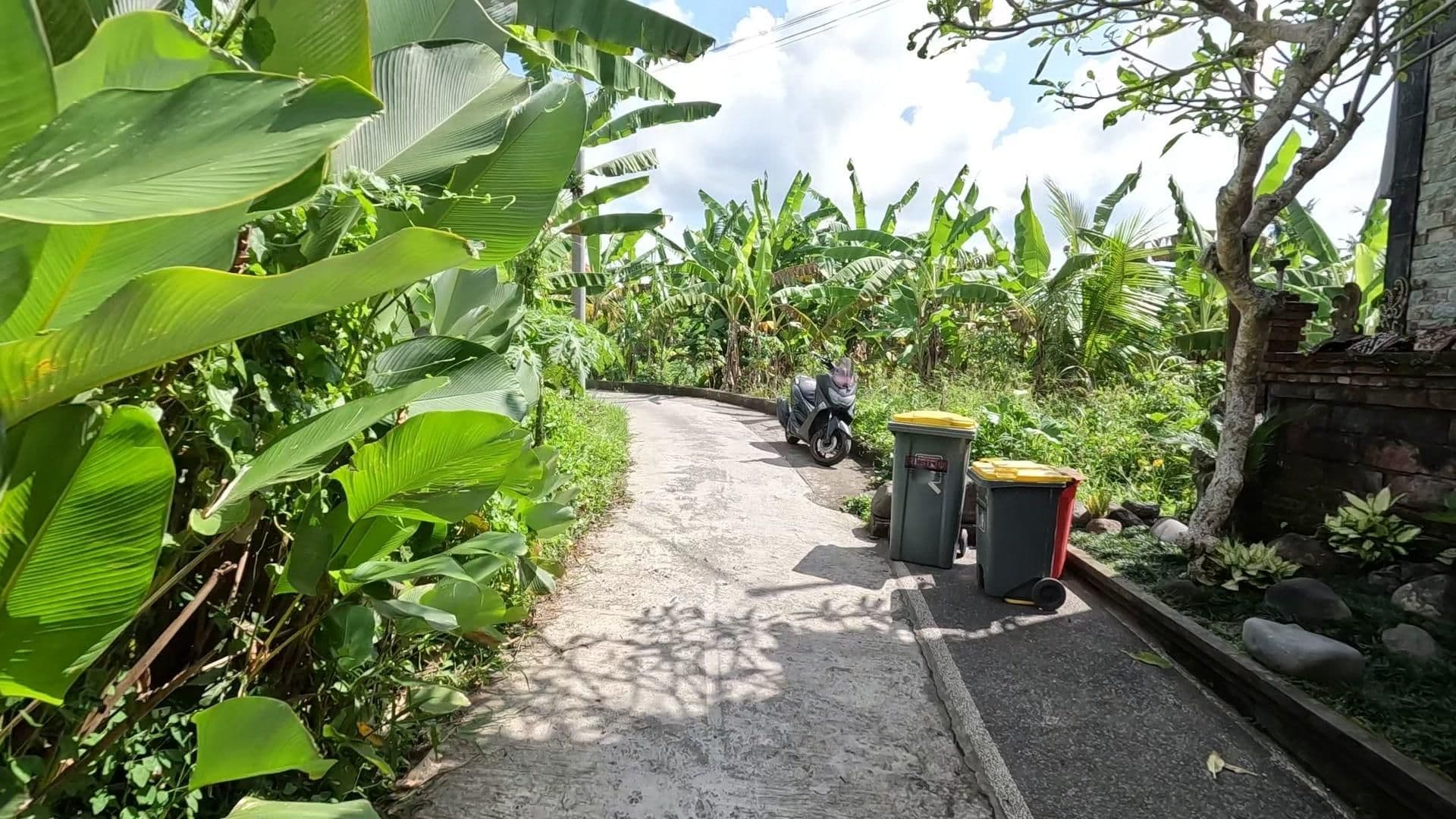 Street view near Pondok Prapen, Ubud