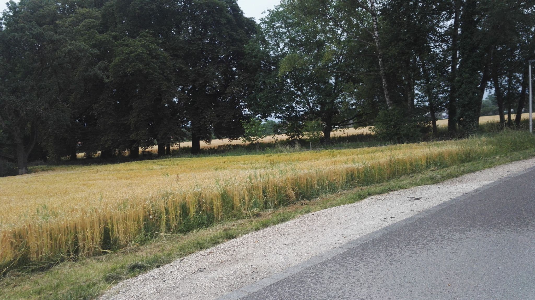 Street view near Hotel Oedhof, Freilassing — © aceini (CC BY-SA · Mapillary)