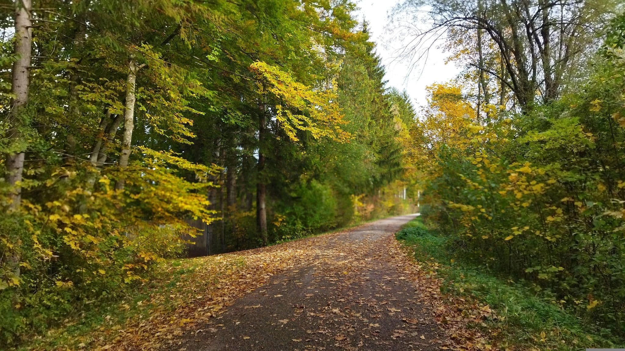 Street view near Jugendzeltplatz des Kreisjugendring Weilheim-Schongau, Peißenberg — © changchun1 (CC BY-SA · Mapillary)