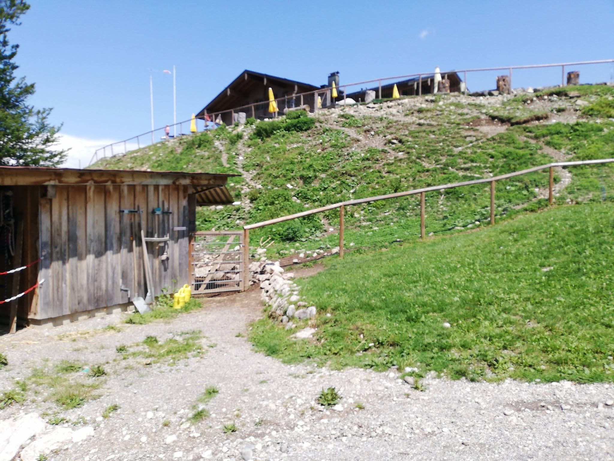 Street view near Buchenbergalm, Halblech — © matapiet (CC BY-SA · Mapillary)