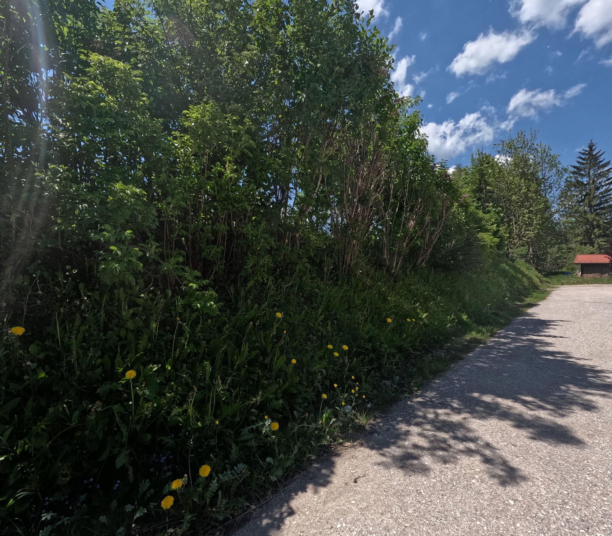Street view near Gästehaus Schwarzlofer, Reit im Winkl — © natebus (CC BY-SA · Mapillary)