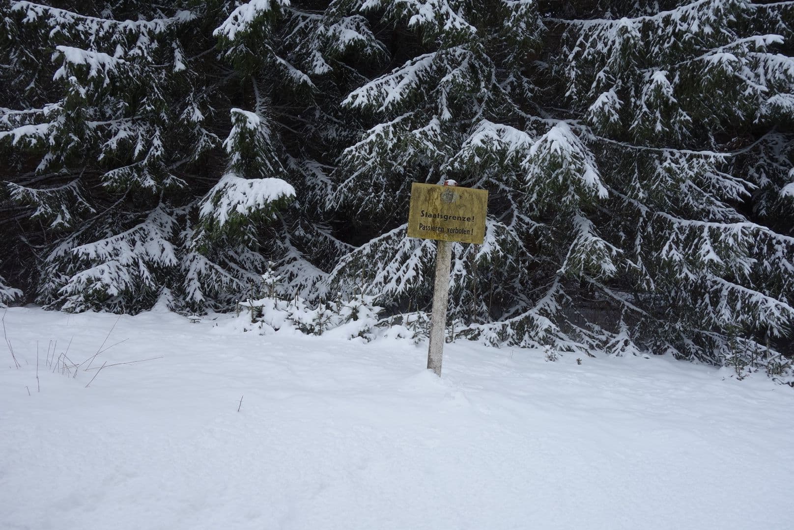Street view near Ferienwohnung Sternknopf, Rittersgrün — © malenki (CC BY-SA · Mapillary)