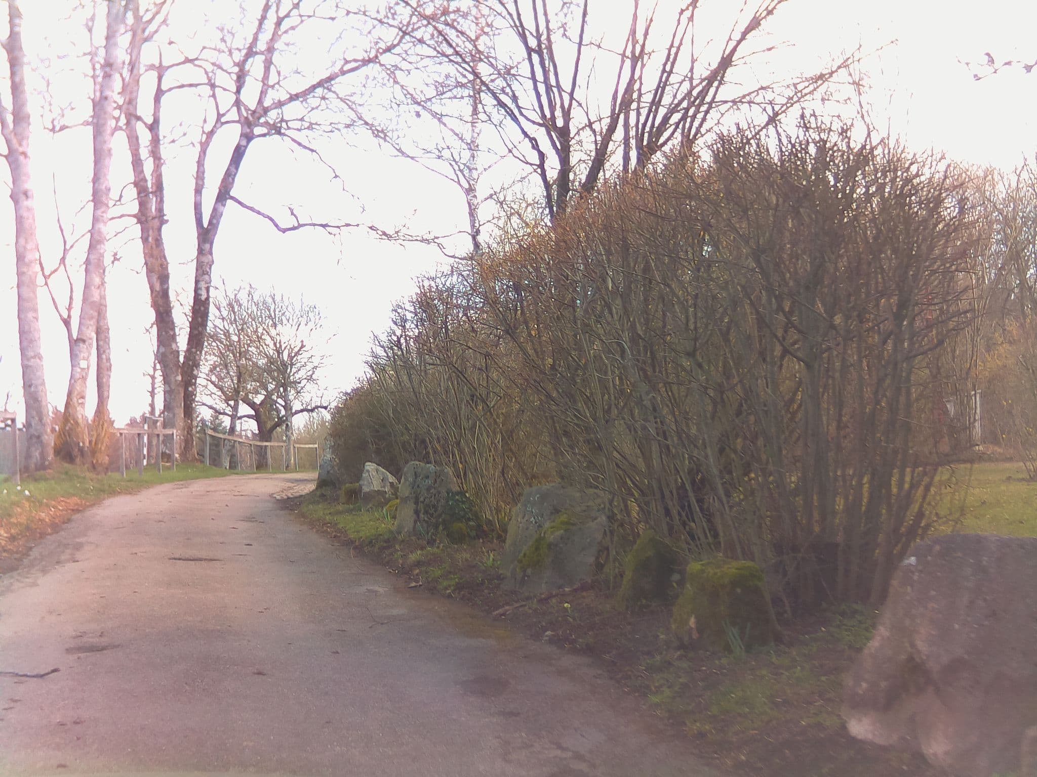 Street view near Freizeitheim Hofgut Schmalenberg, Althütte — © ramap (CC BY-SA · Mapillary)