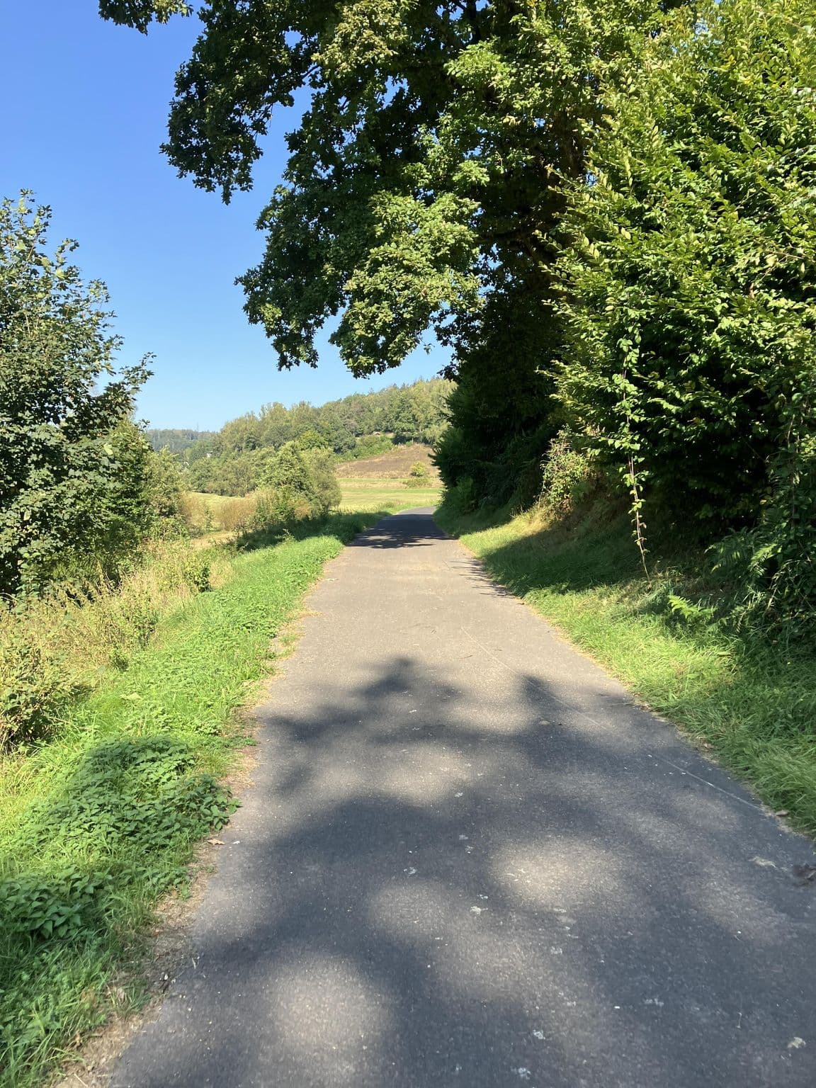Street view near Flörsbacher Hof, Wiesen — © RVBMKK (CC BY-SA · Mapillary)
