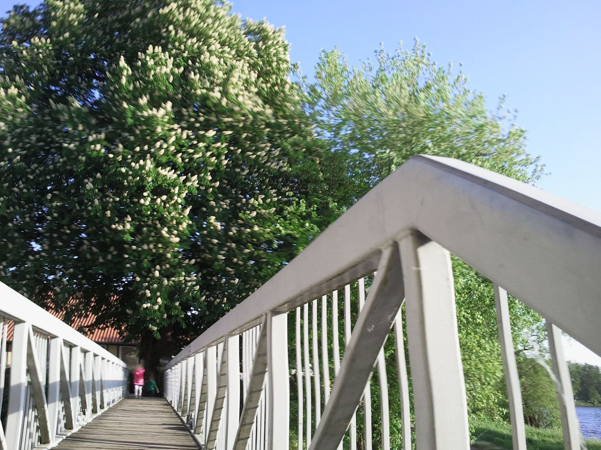Street view near Weserschlösschen, Nienburg — © hubert87 (CC BY-SA · Mapillary)