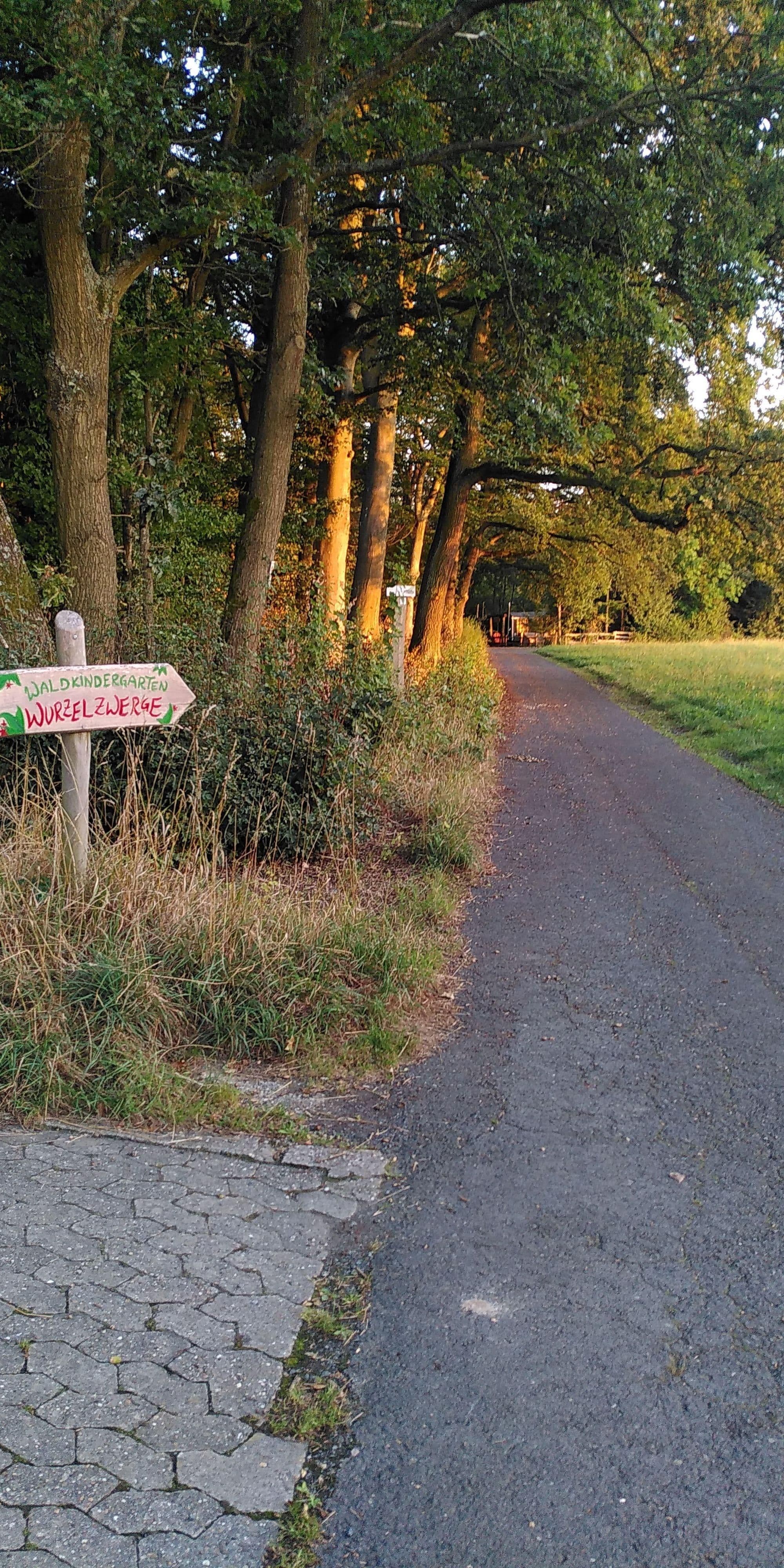 Street view near Hotel Waldschloss, Bad Camberg — © basxto (CC BY-SA · Mapillary)