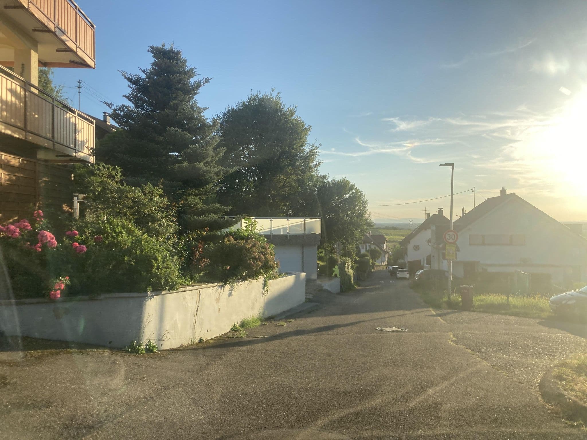 Street view near Pension Sommer-Halde, Bühl — © tasmaniadevil (CC BY-SA · Mapillary)