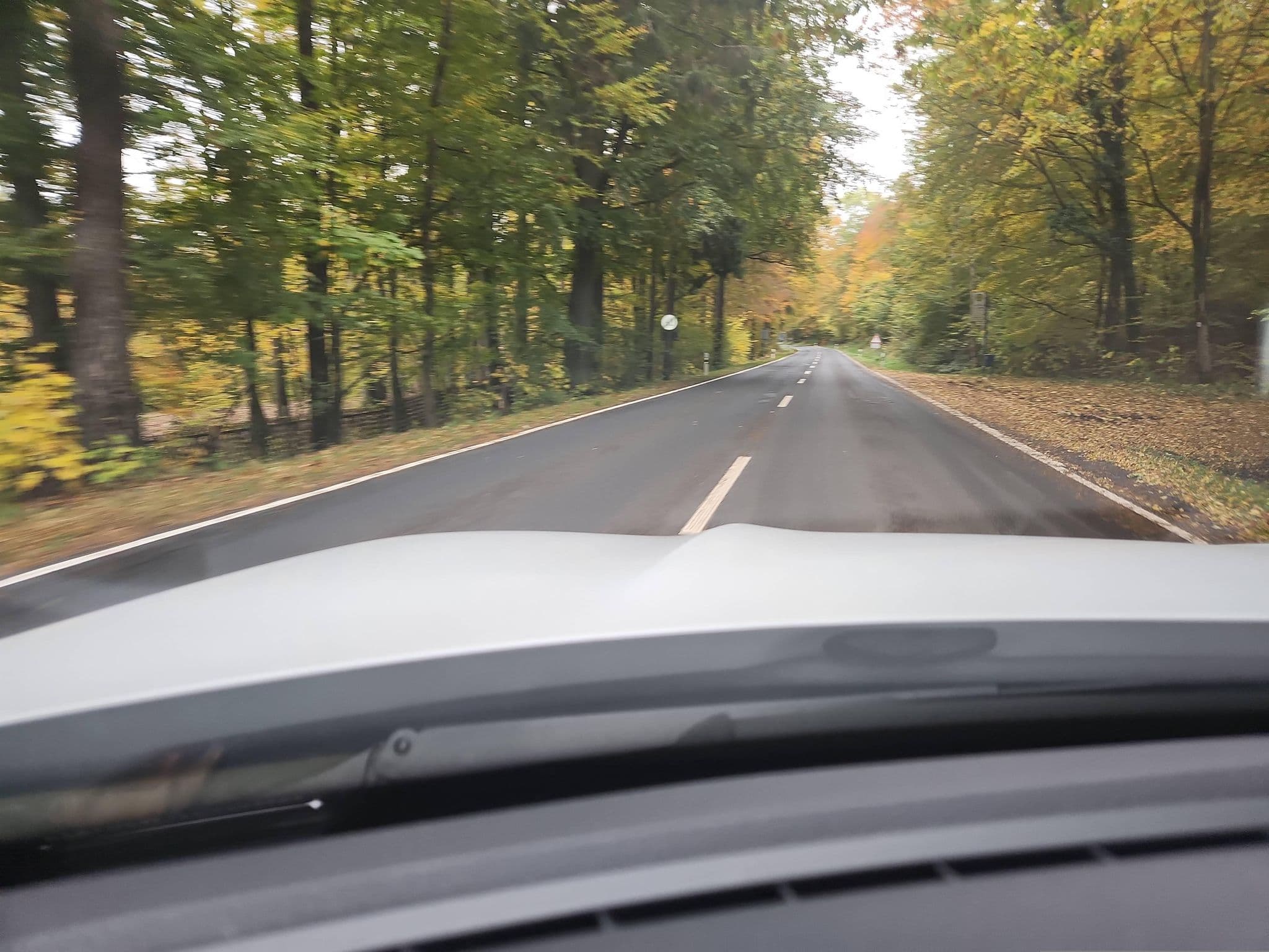 Street view near Schullandheim Wegscheide, Bad Orb — © DerMaster0815 (CC BY-SA · Mapillary)