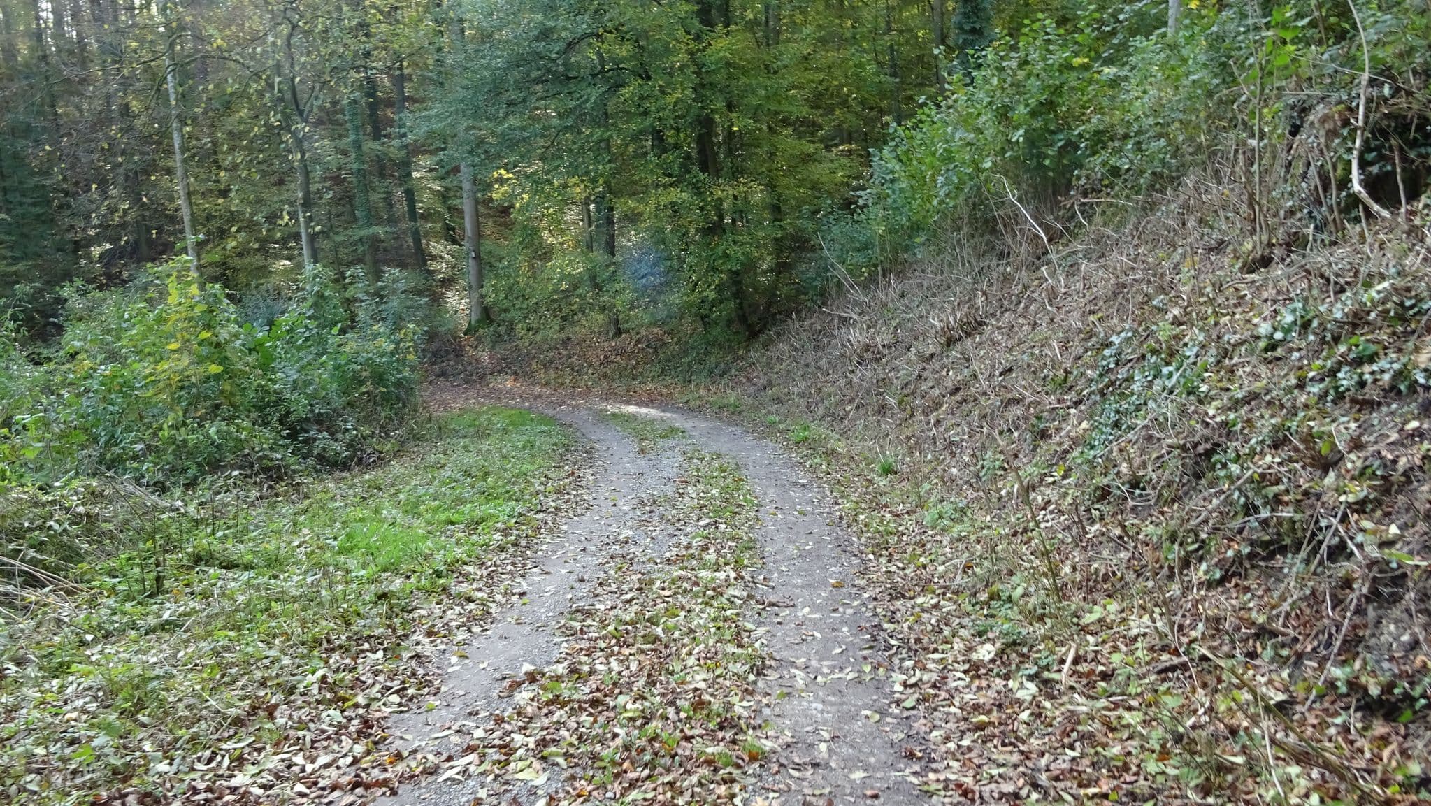 Street view near Waldhütte Mörtelstein, Binau — © waldemar (CC BY-SA · Mapillary)