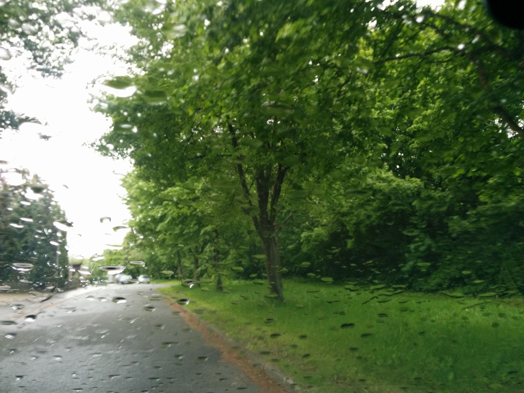 Street view near Hotel Abspann, Goslar — © bitnapper (CC BY-SA · Mapillary)