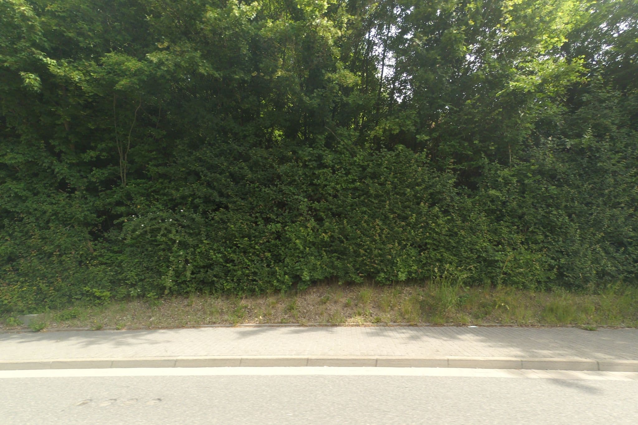 Street view near Landgasthof Pension Zur Mühle, Mörlenbach — © wegavision (CC BY-SA · Mapillary)