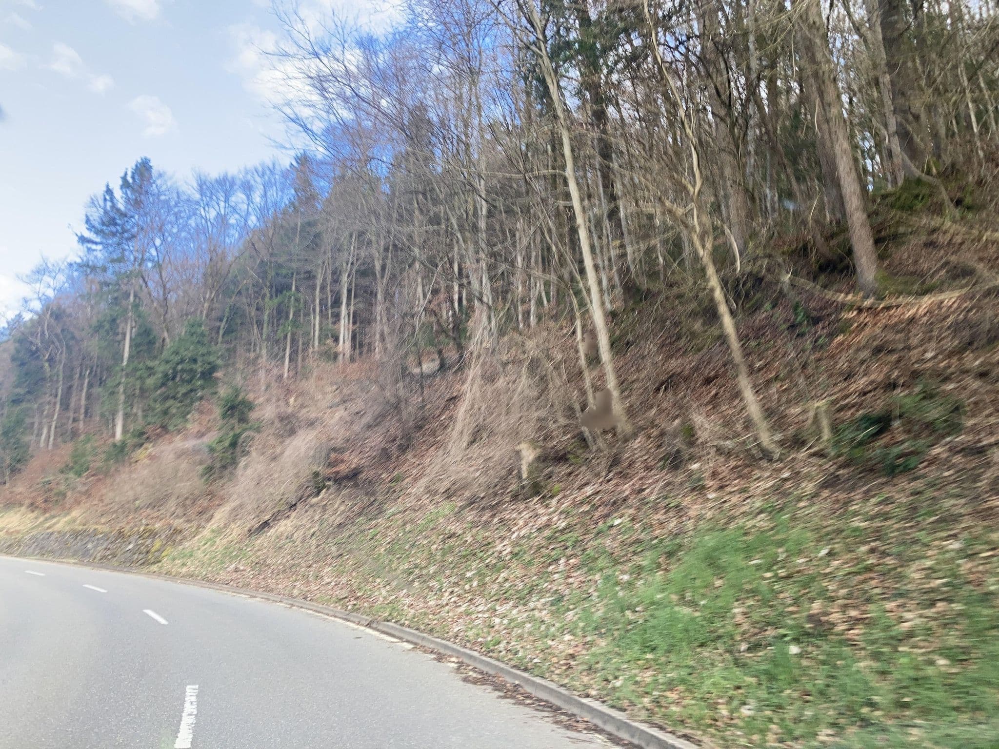 Street view near Eyachperle, Haigerloch — © tasmaniadevil (CC BY-SA · Mapillary)