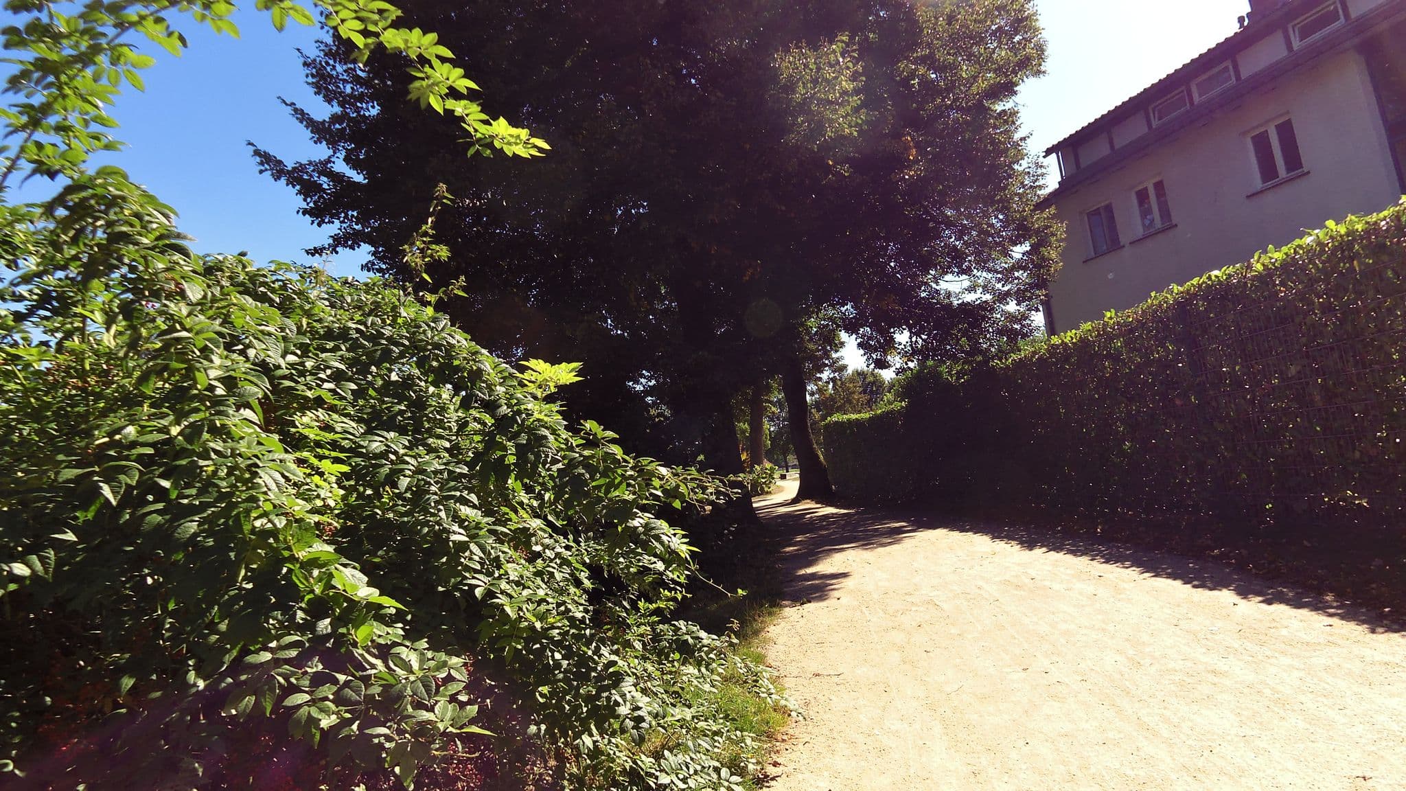 Street view near Jugendherberge Kehl, Kehl — © dcp (CC BY-SA · Mapillary)
