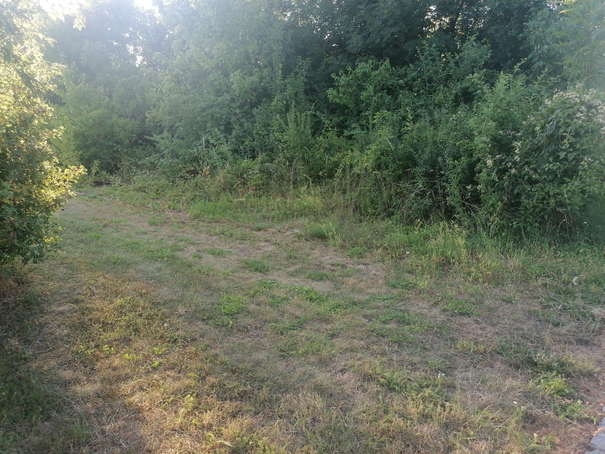 Street view near Rosa Zeiten, Boll — © mammi71 (CC BY-SA · Mapillary)