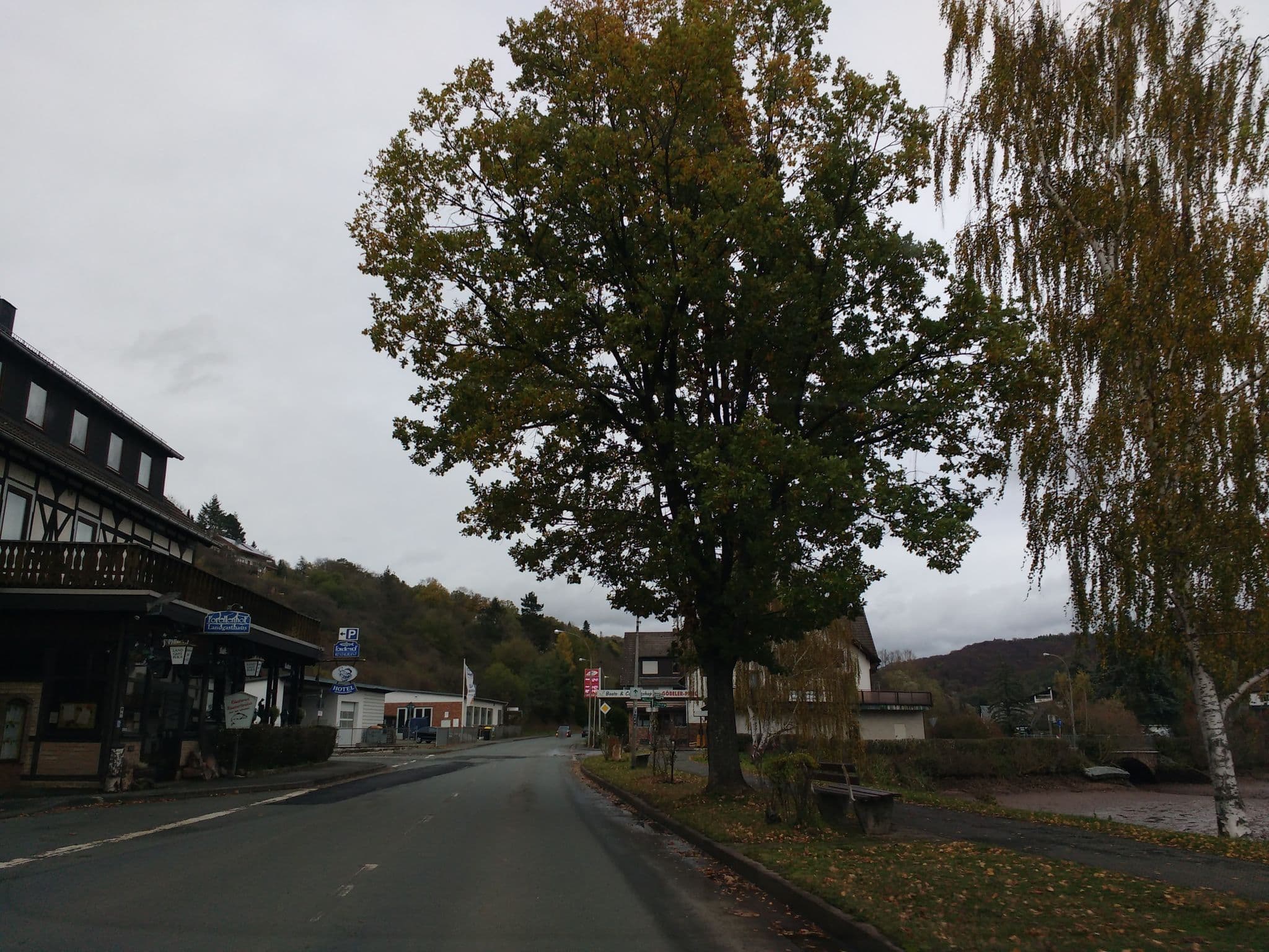 Street view near Landgasthaus Forellenhof, Sachsenhausen — © thetornado76 (CC BY-SA · Mapillary)