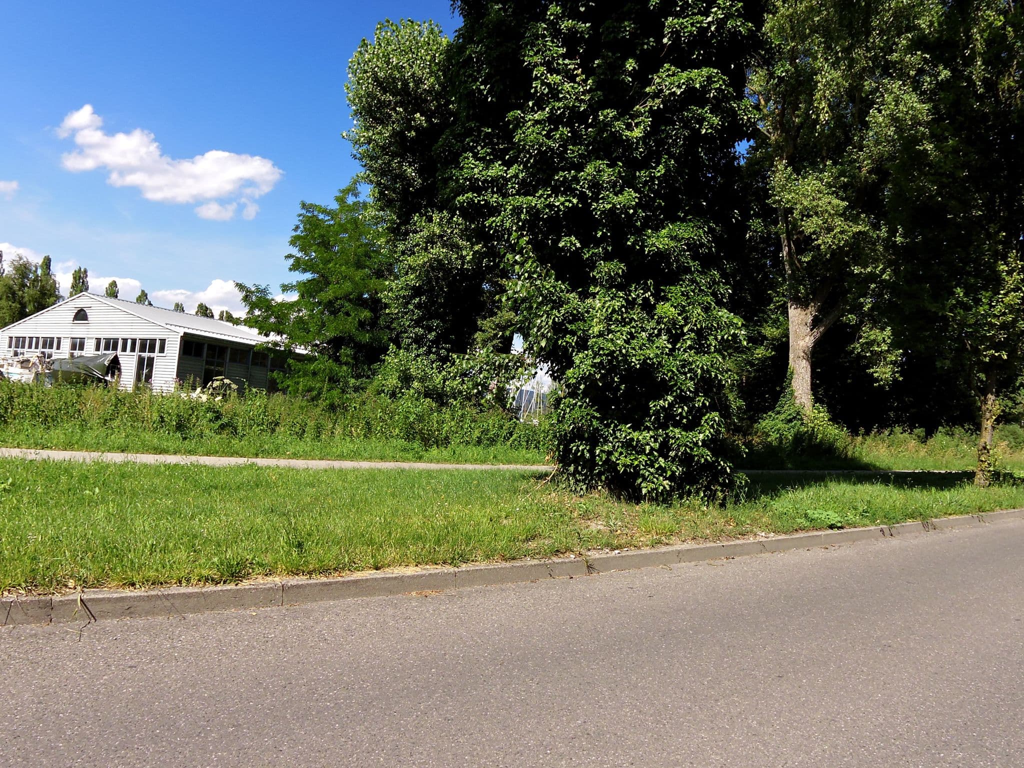 Street view near Pension Edeltraud, Radolfzell — © czmrtn (CC BY-SA · Mapillary)