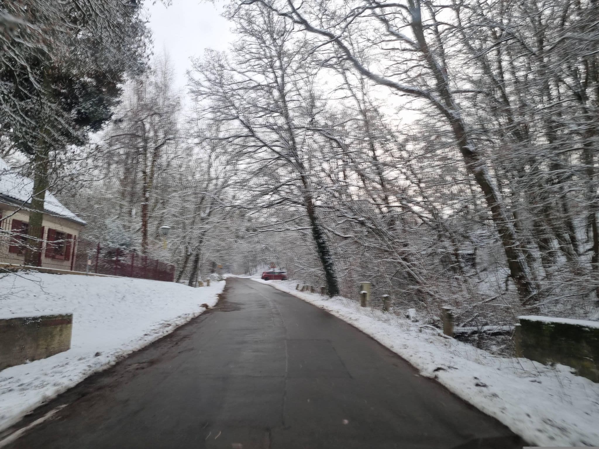 Street view near Hundeschule & -Pension, Michendorf — © dsmm (CC BY-SA · Mapillary)