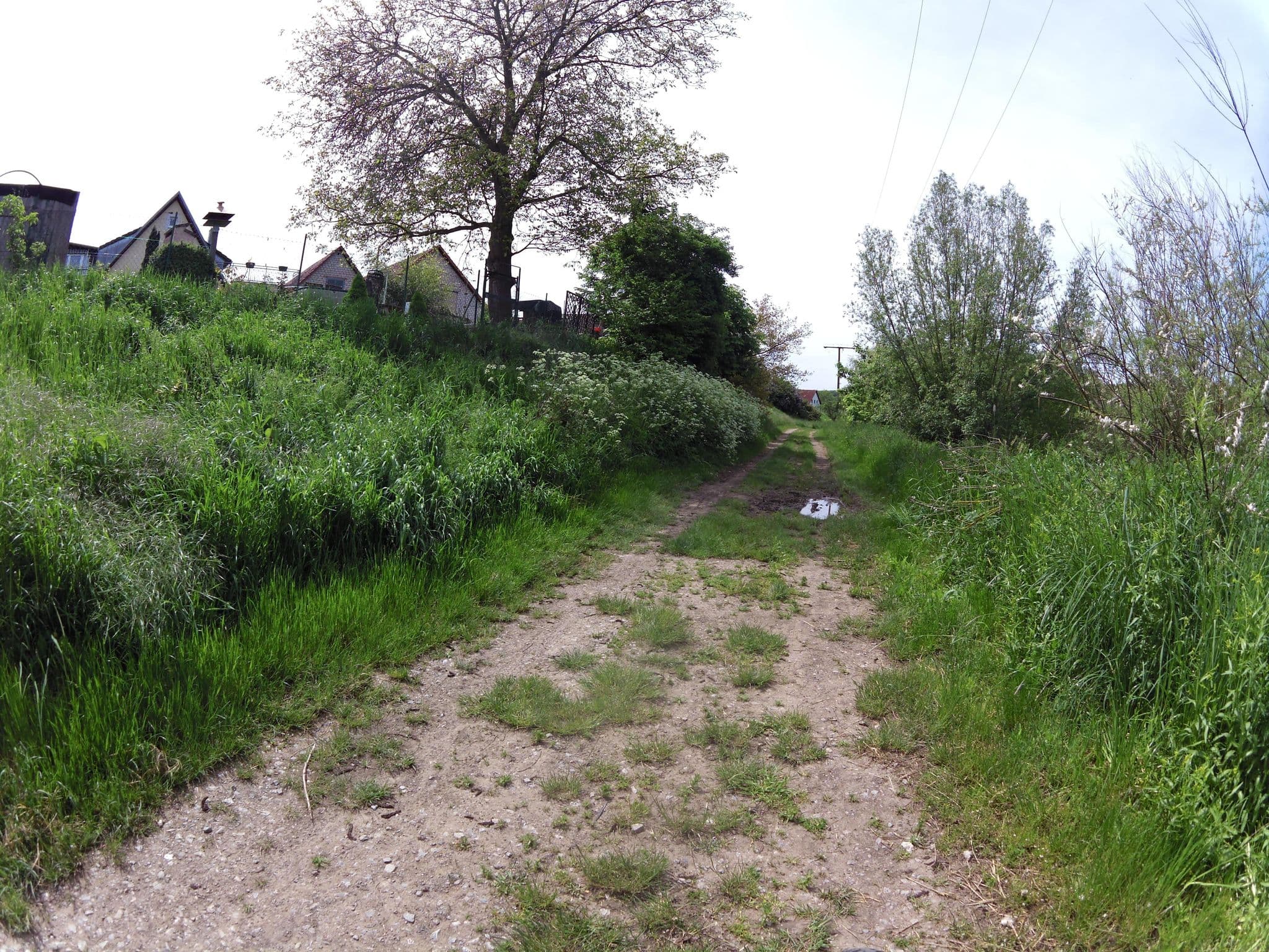 Street view near Pension zur alten Schmiede, Volkach — © zoegglmeyr1 (CC BY-SA · Mapillary)