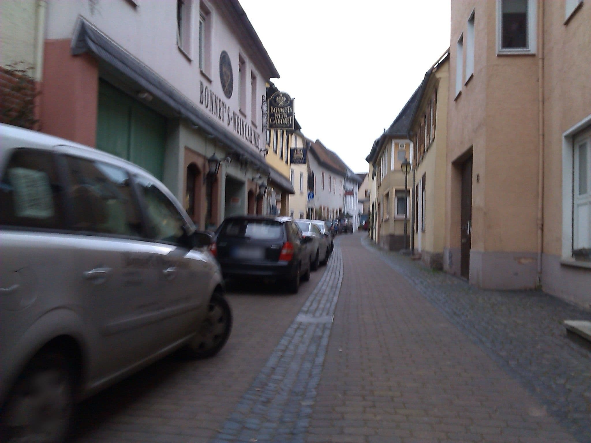 Street view near Hotel Alt Walluf, Walluf — © changchun1 (CC BY-SA · Mapillary)
