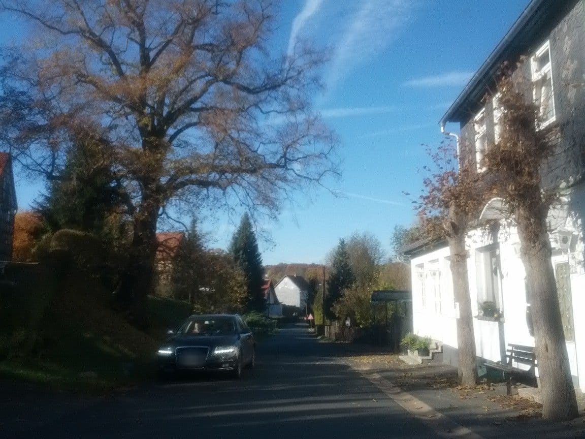 Street view near Kaffeerickchen, Thal — © zoegglmeyr (CC BY-SA · Mapillary)
