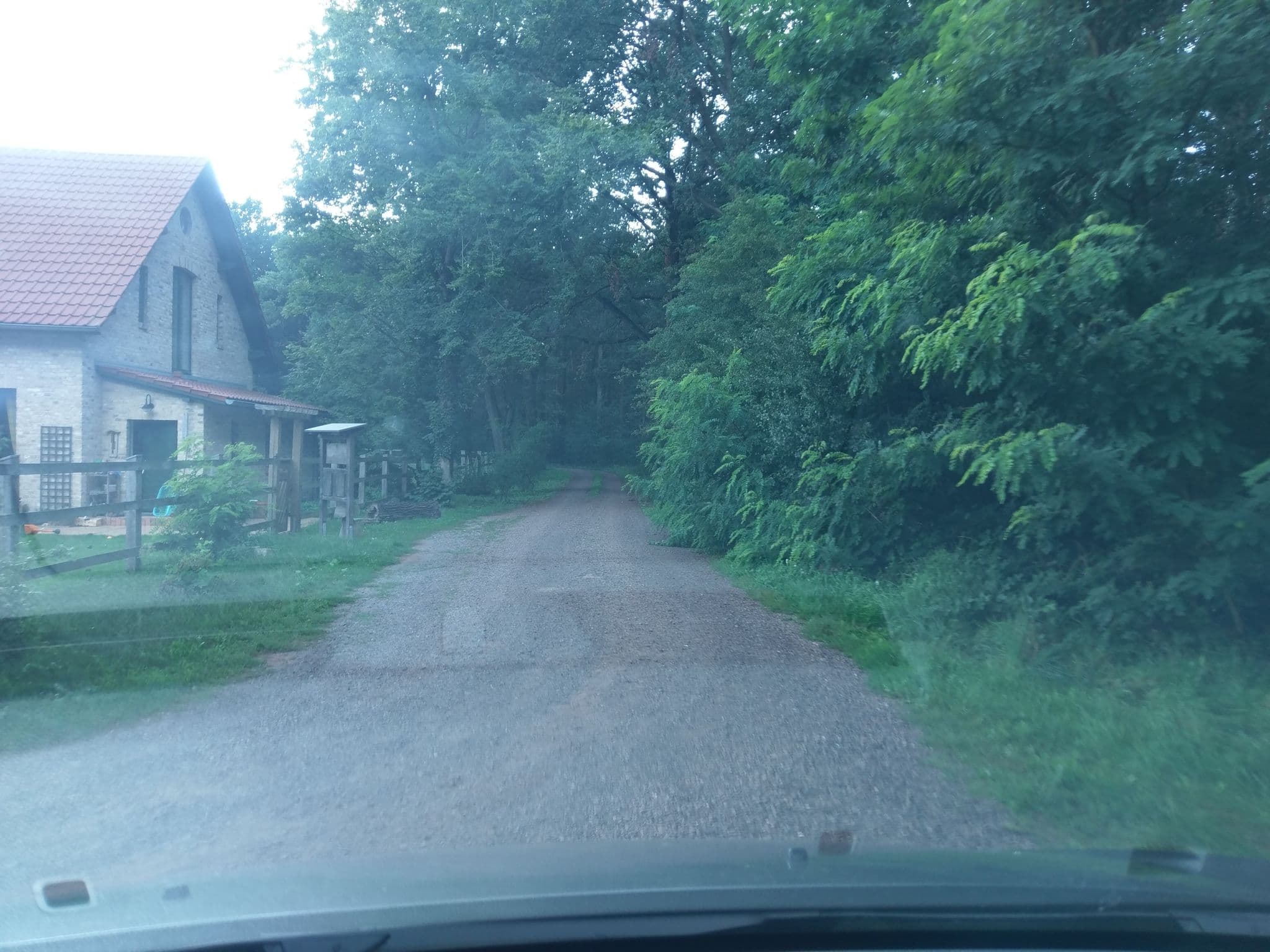 Street view near Pension Dechow, "Alte Försterei", Groß Kreutz — © bufonto (CC BY-SA · Mapillary)