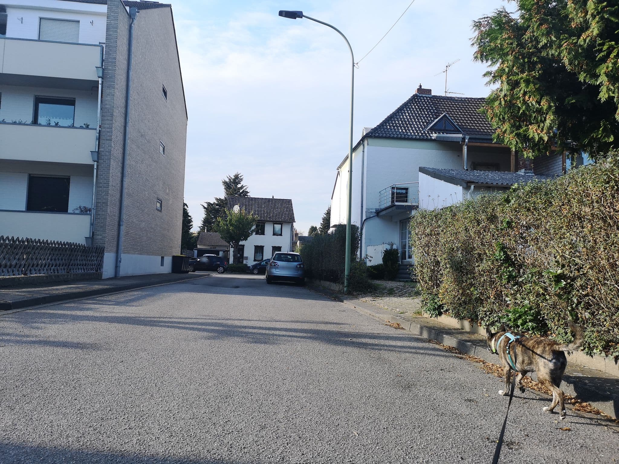 Street view near Hotel Christophorus, Kreuzau — © rasenderrolli (CC BY-SA · Mapillary)