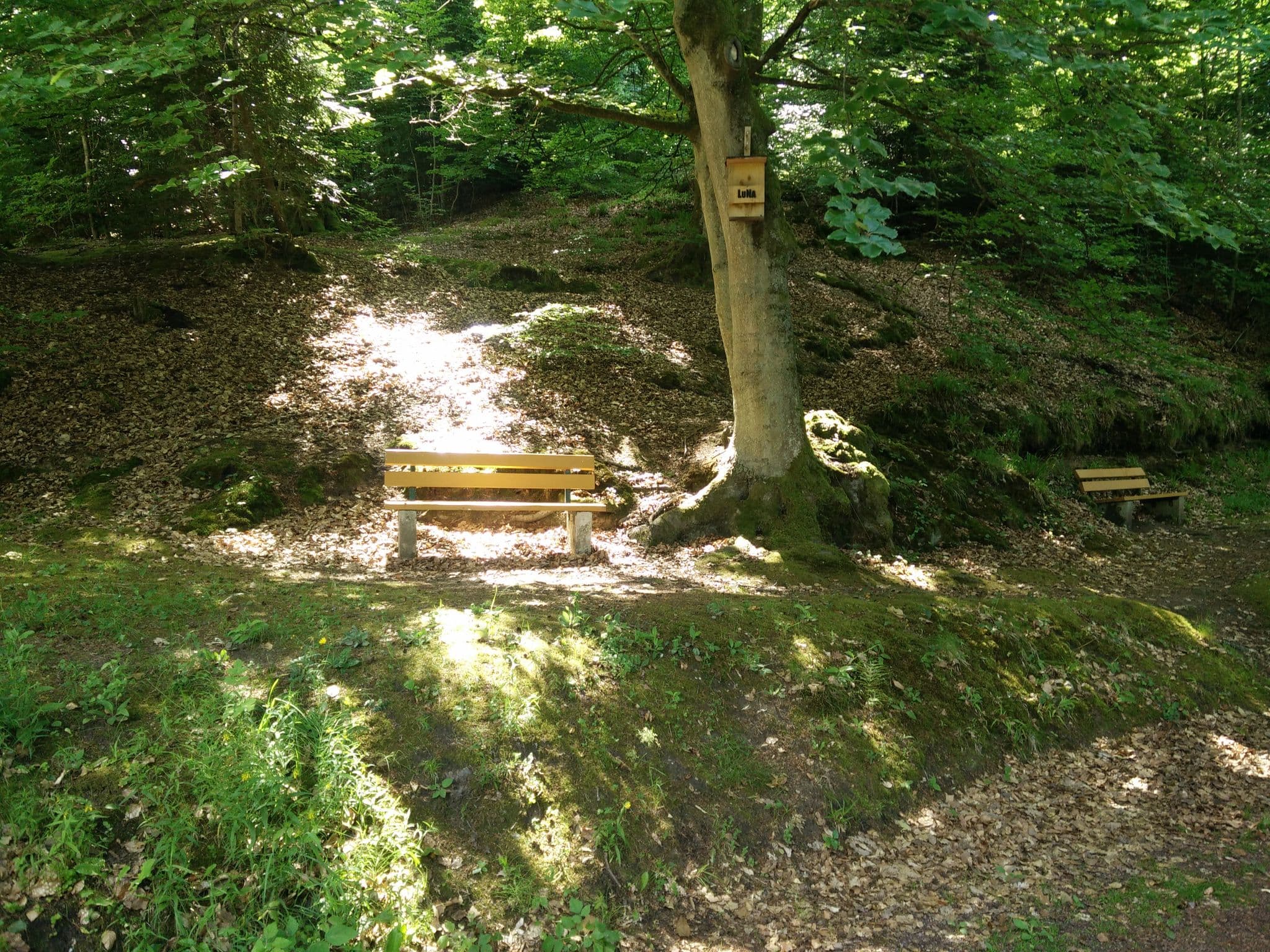 Street view near Hotel Seeblick, Bad Bergzabern — © sfudeus (CC BY-SA · Mapillary)