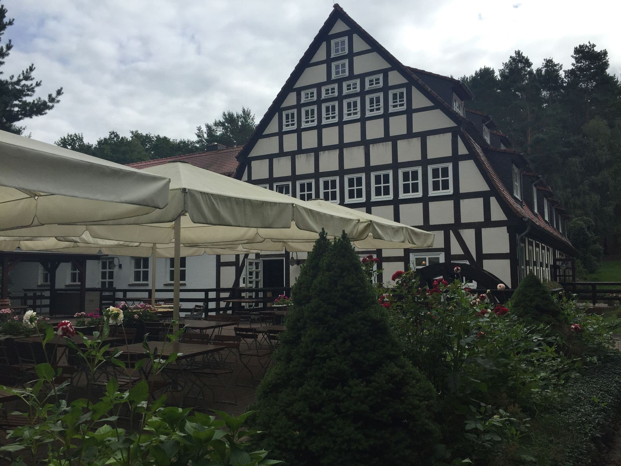 Street view near Springbachmühle, Bad Belzig — © ankeric (CC BY-SA · Mapillary)