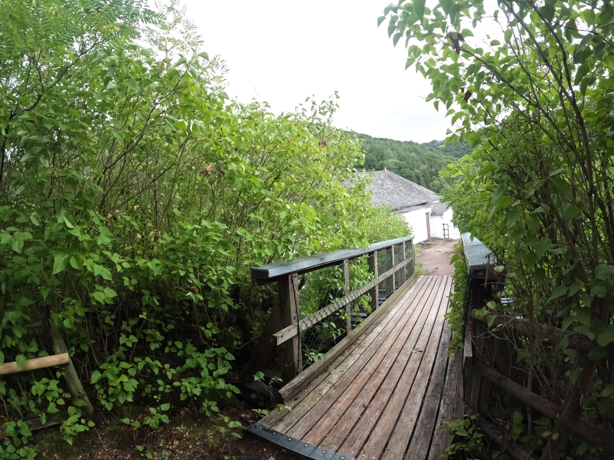 Street view near Hotel Restaurant Burg Ramstein, Kordel — © vinisa (CC BY-SA · Mapillary)