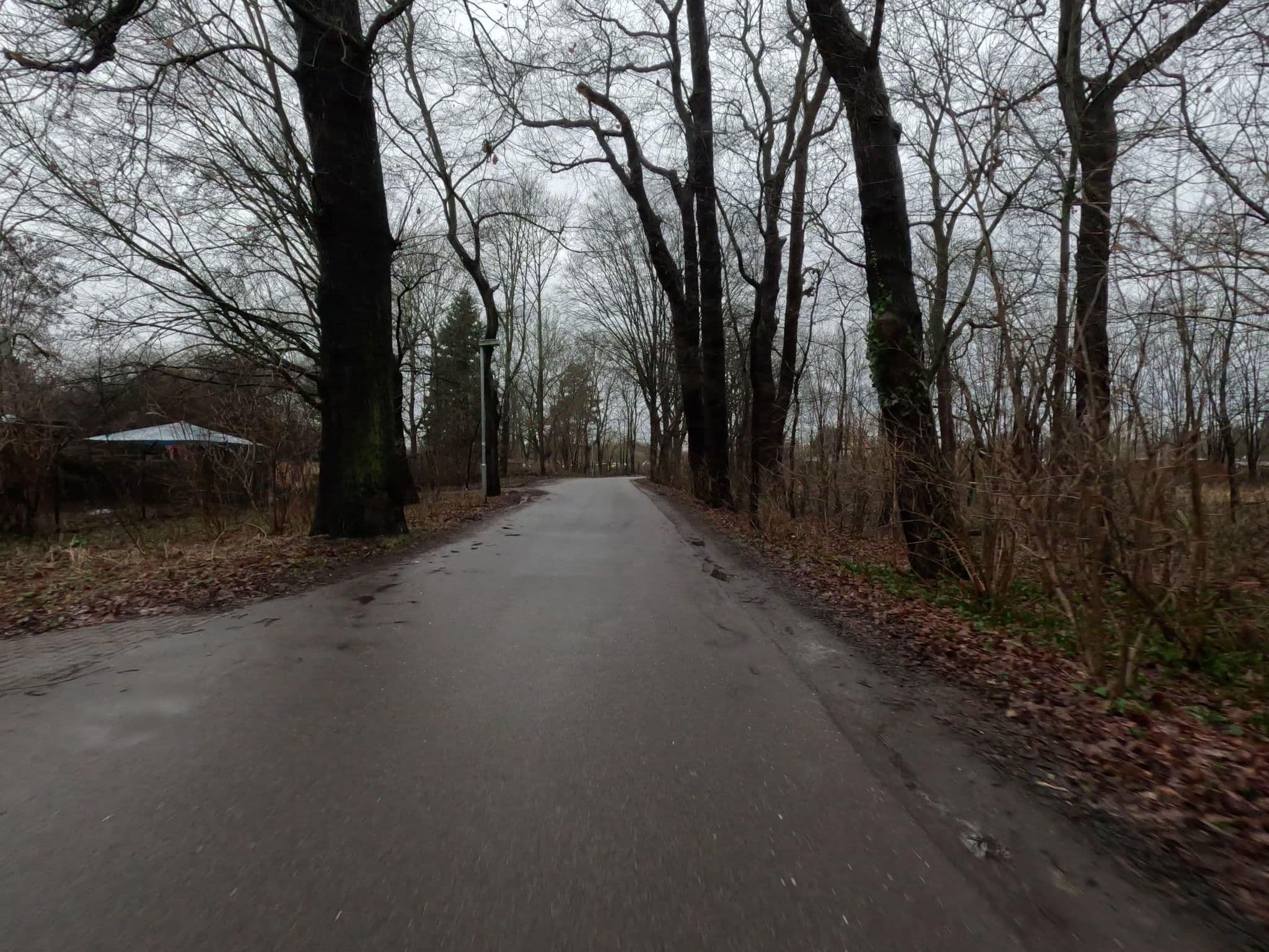 Street view near Auenwald, Gohlis — © kopra (CC BY-SA · Mapillary)