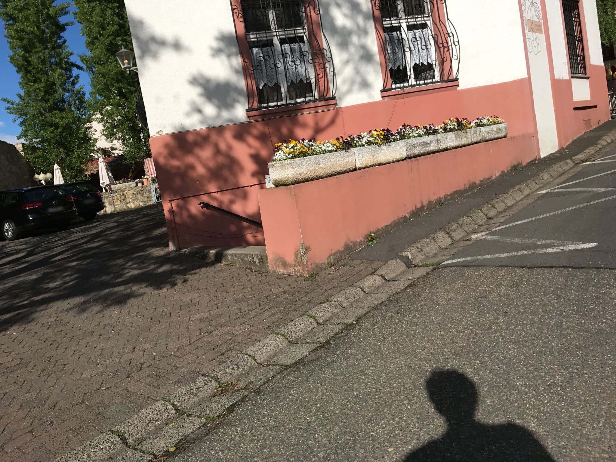 Street view near Landgasthof Kirschgarten, Wackernheim — © miguel_andrade (CC BY-SA · Mapillary)