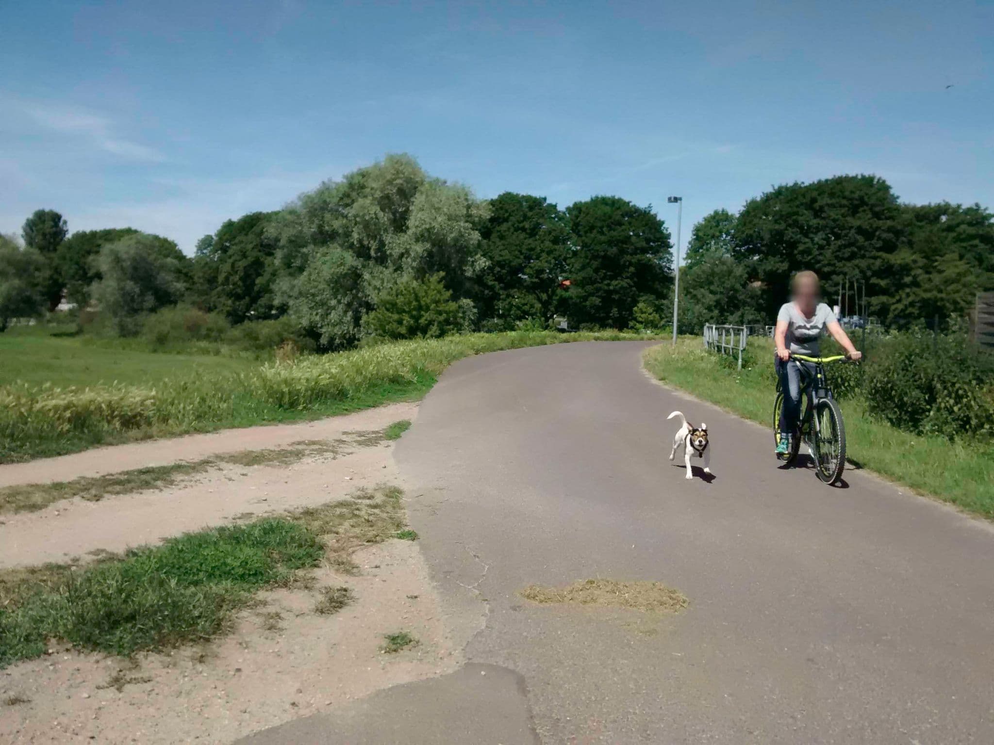 Street view near Radfahrer-Zeltplatz, Tangermünde — © didihn (CC BY-SA · Mapillary)