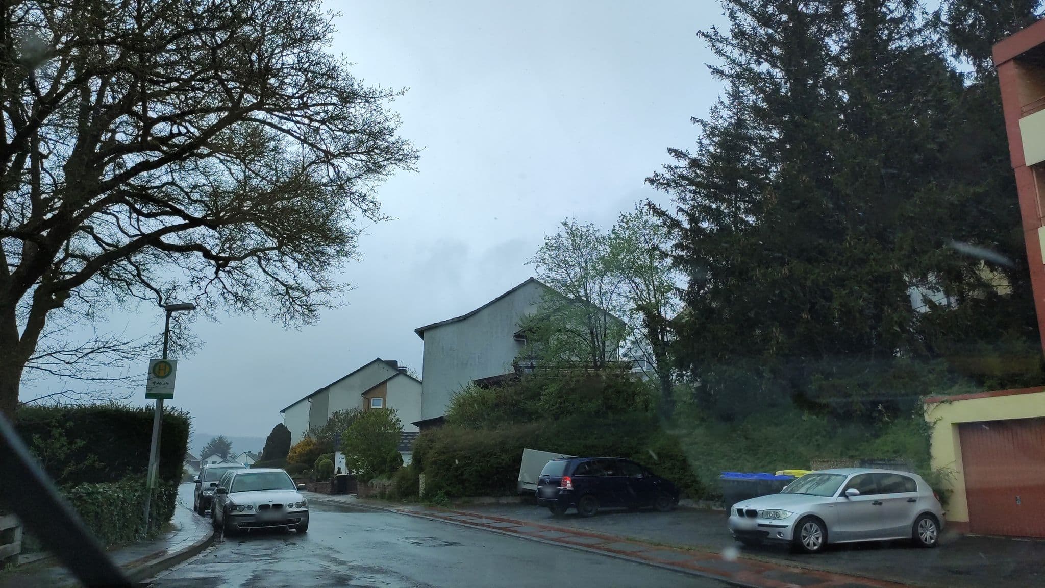 Street view near Hotel-Pension Waldcafe Jäger, Bad Driburg — © ma1pp1er (CC BY-SA · Mapillary)