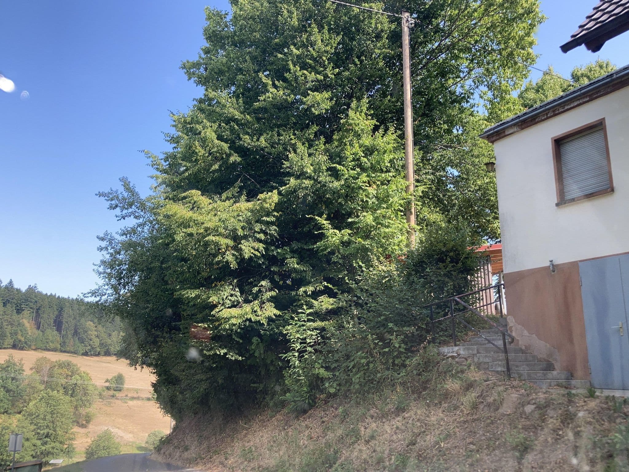 Street view near Naturfreundehaus Auf dem Geisberg, Schuttertal — © tasmaniadevil (CC BY-SA · Mapillary)