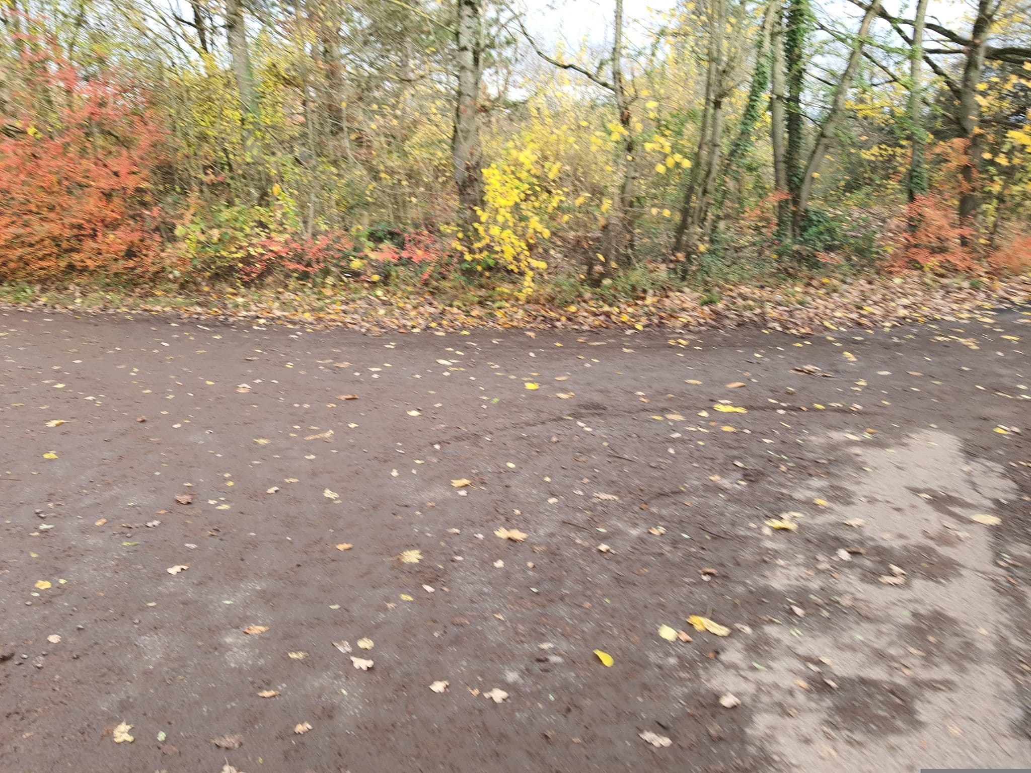 Street view near Naturfreundehaus Wingertskippel, Langenselbold — © myway (CC BY-SA · Mapillary)