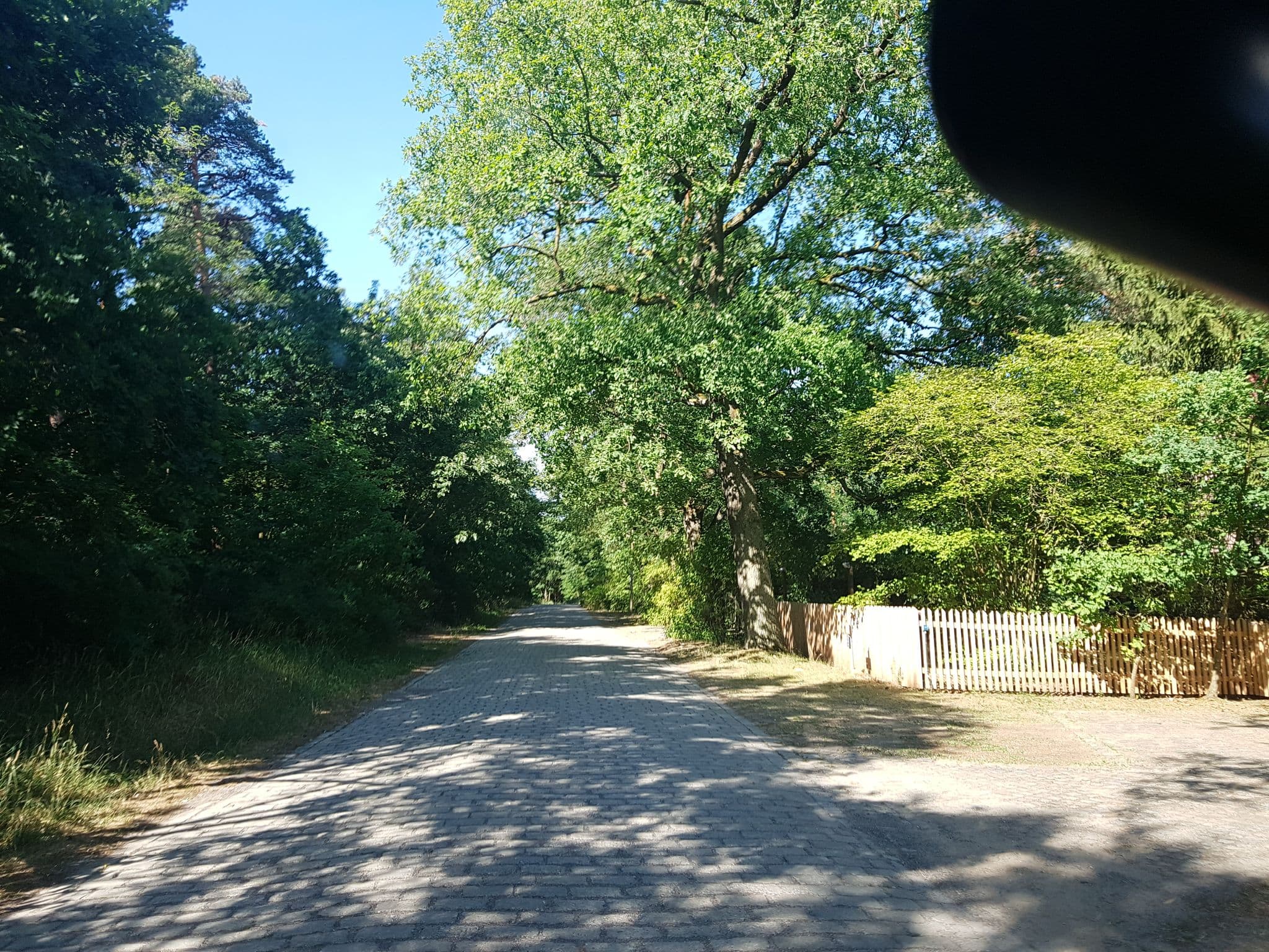 Street view near Hotel Waldschule, Treuenbrietzen — © dsmm (CC BY-SA · Mapillary)