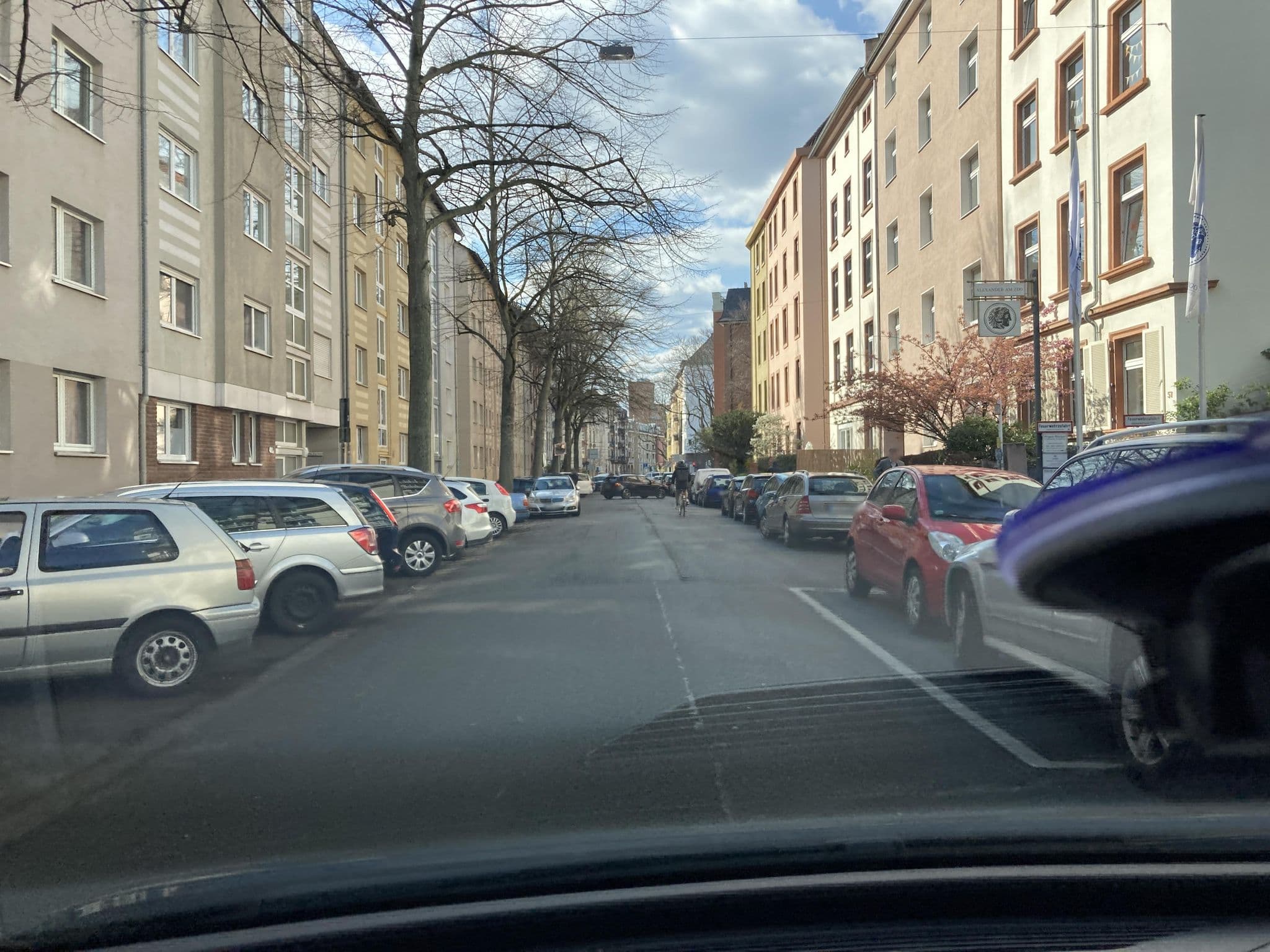 Street view near Alexander am Zoo, Frankfurt am Main
