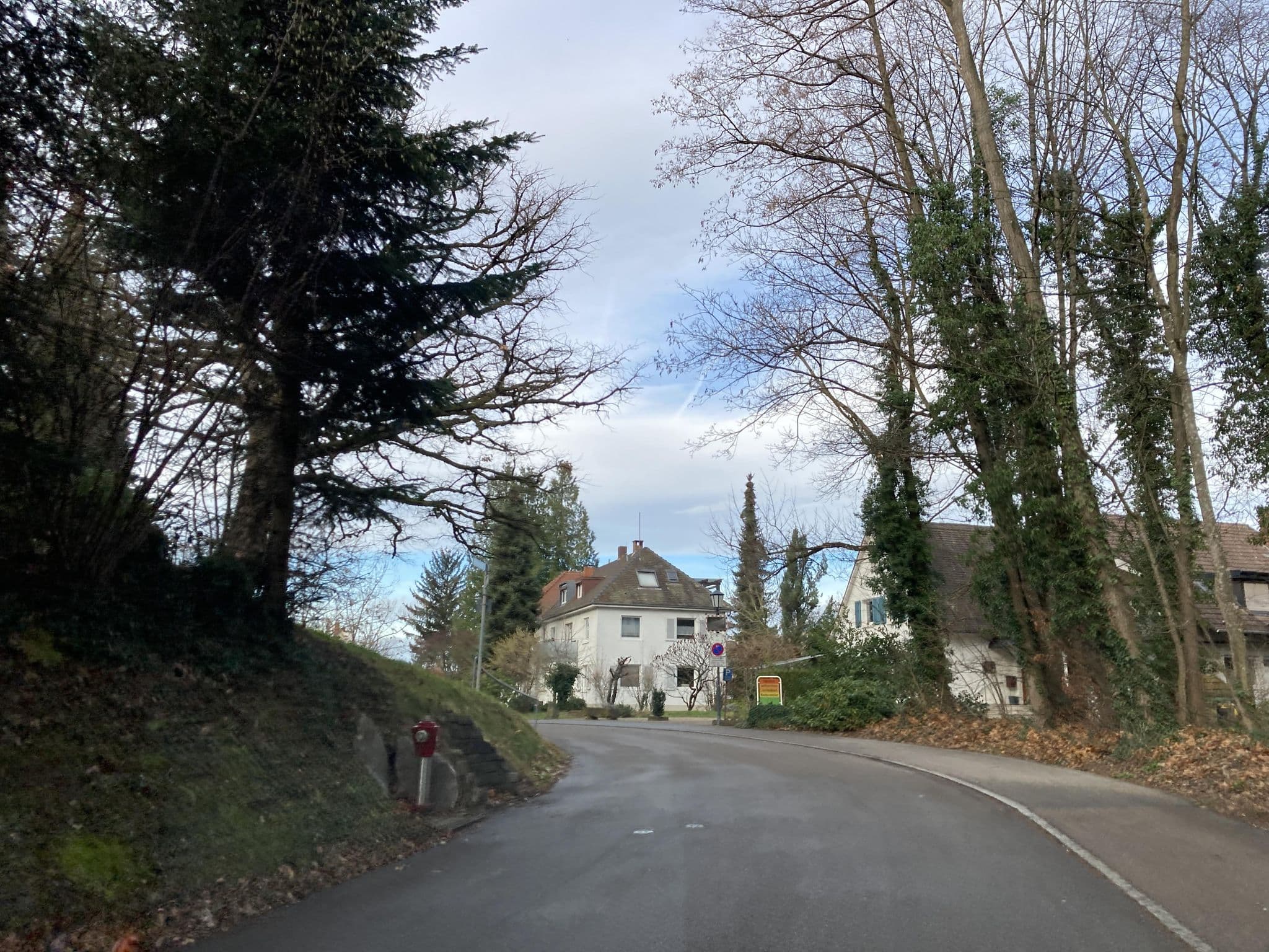 Street view near Waldhotel Badenweiler, Badenweiler — © tasmaniadevil (CC BY-SA · Mapillary)