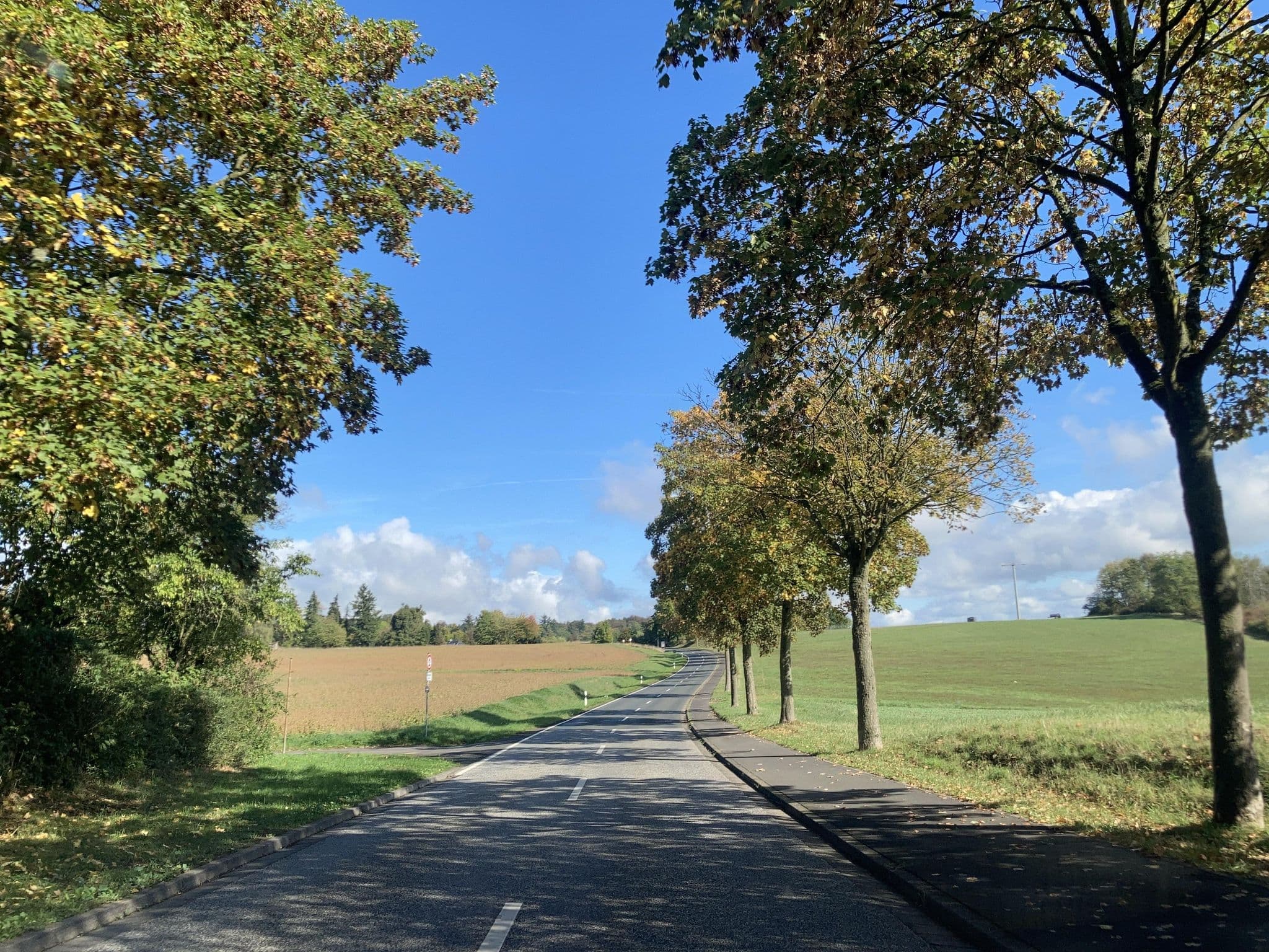 Street view near Landgasthof Gottmann, Nidda — © tasmaniadevil (CC BY-SA · Mapillary)