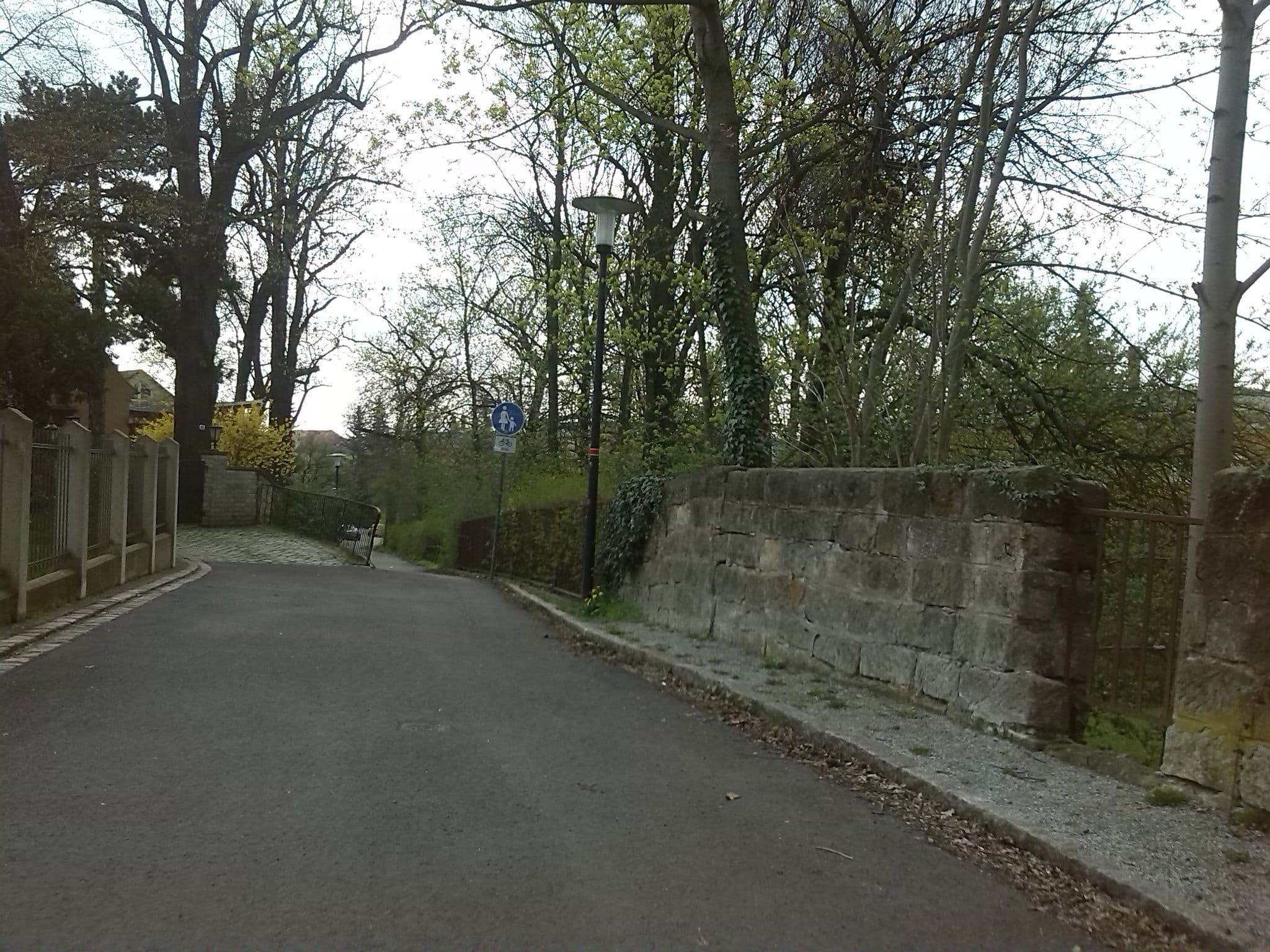 Street view near Villa Seraphinum, Dresden — © theonlytruth (CC BY-SA · Mapillary)