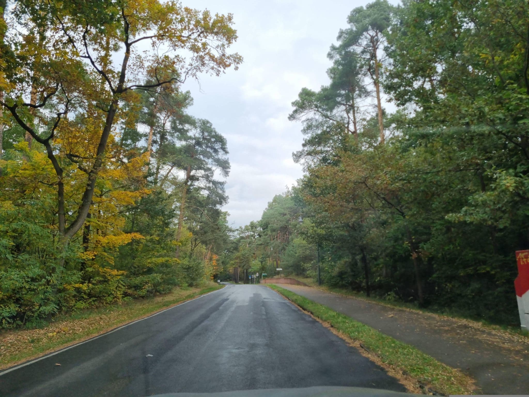 Street view near Restaurant Hotel am Werl, Bad Saarow — © dsmm (CC BY-SA · Mapillary)