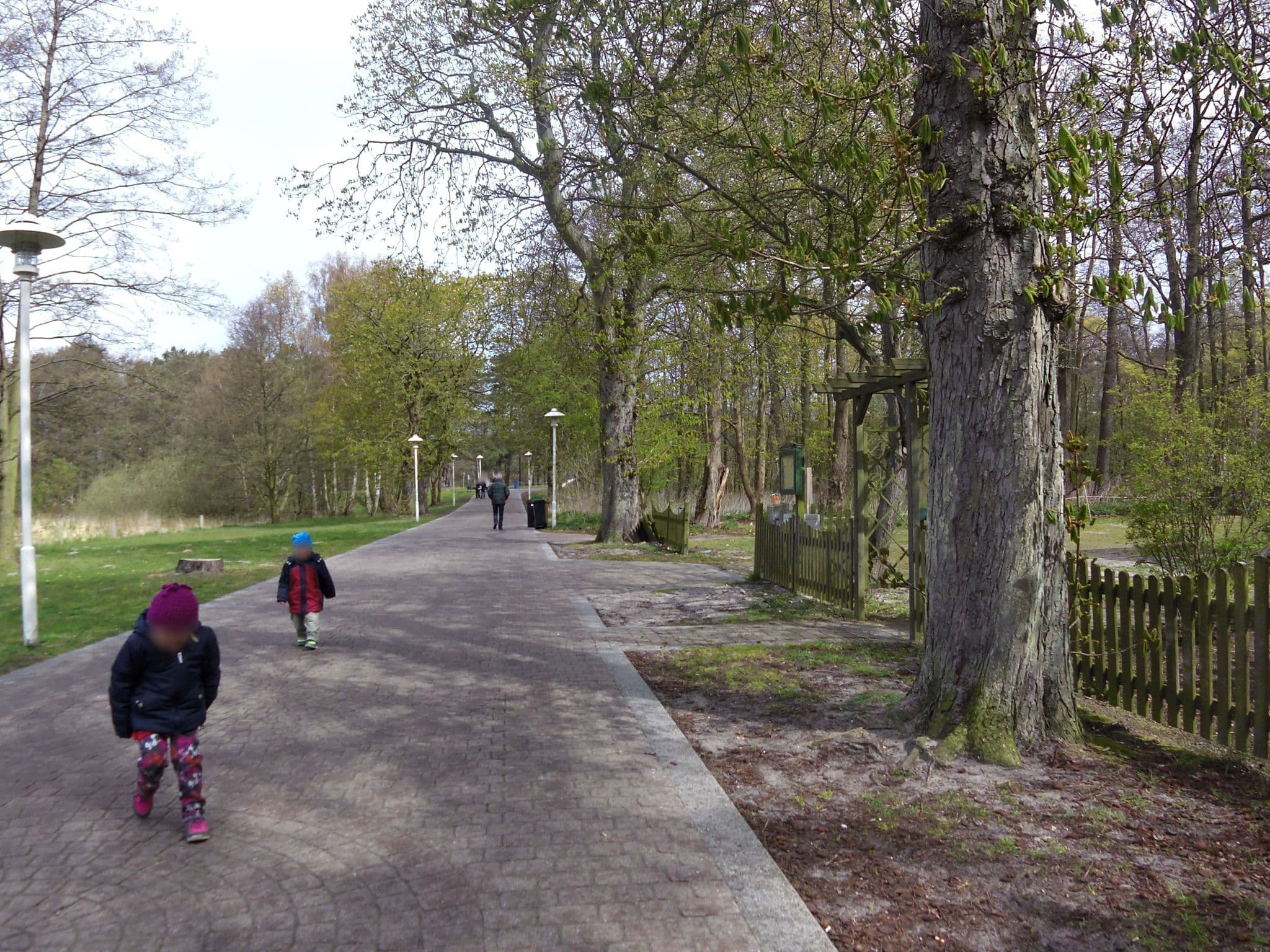 Street view near Haus Nordstrand, Ostseebad Prerow — © zoegglmeyr (CC BY-SA · Mapillary)