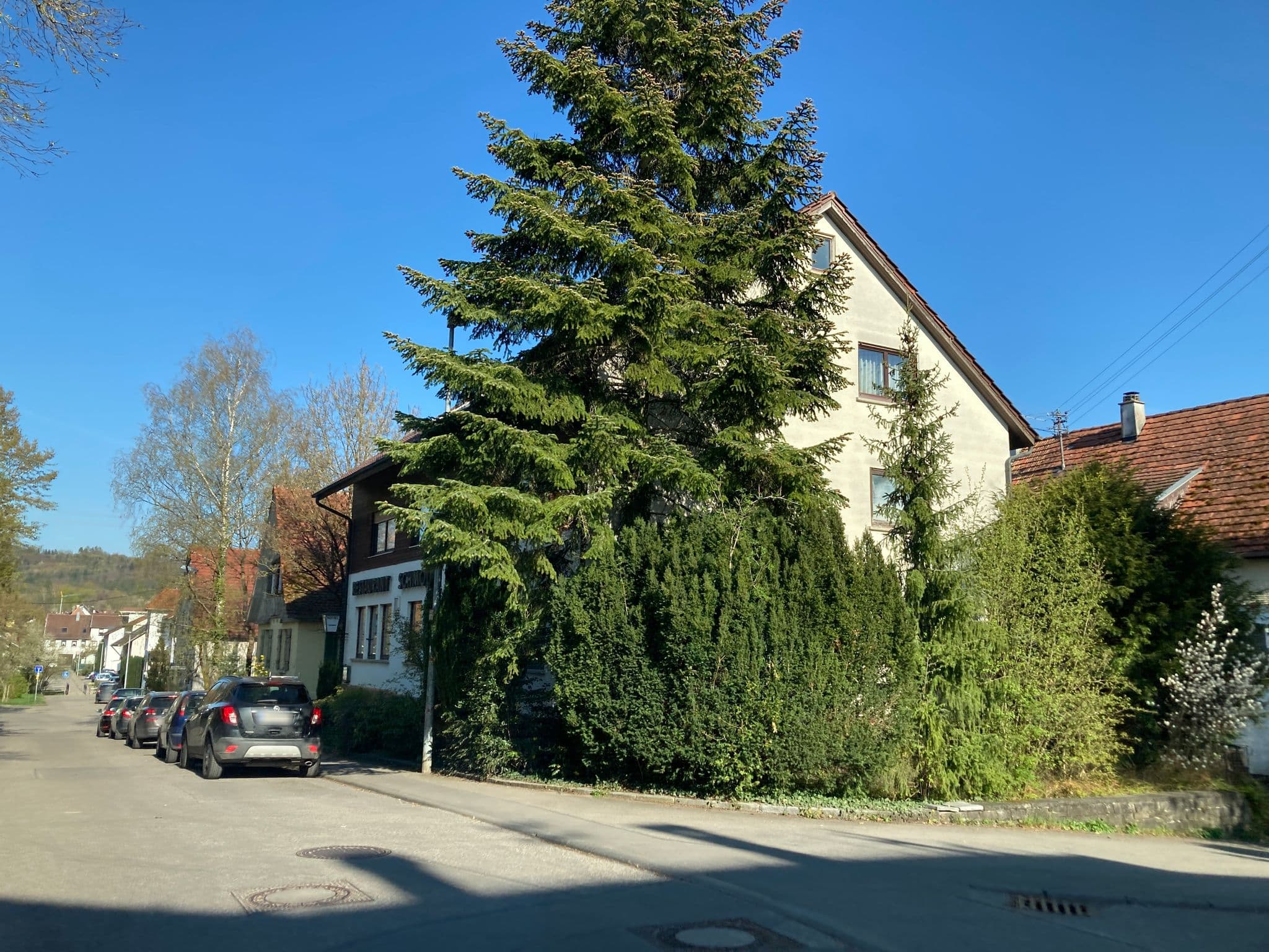 Street view near Hotel-Restaurant Schmoll, Tübingen — © tasmaniadevil (CC BY-SA · Mapillary)