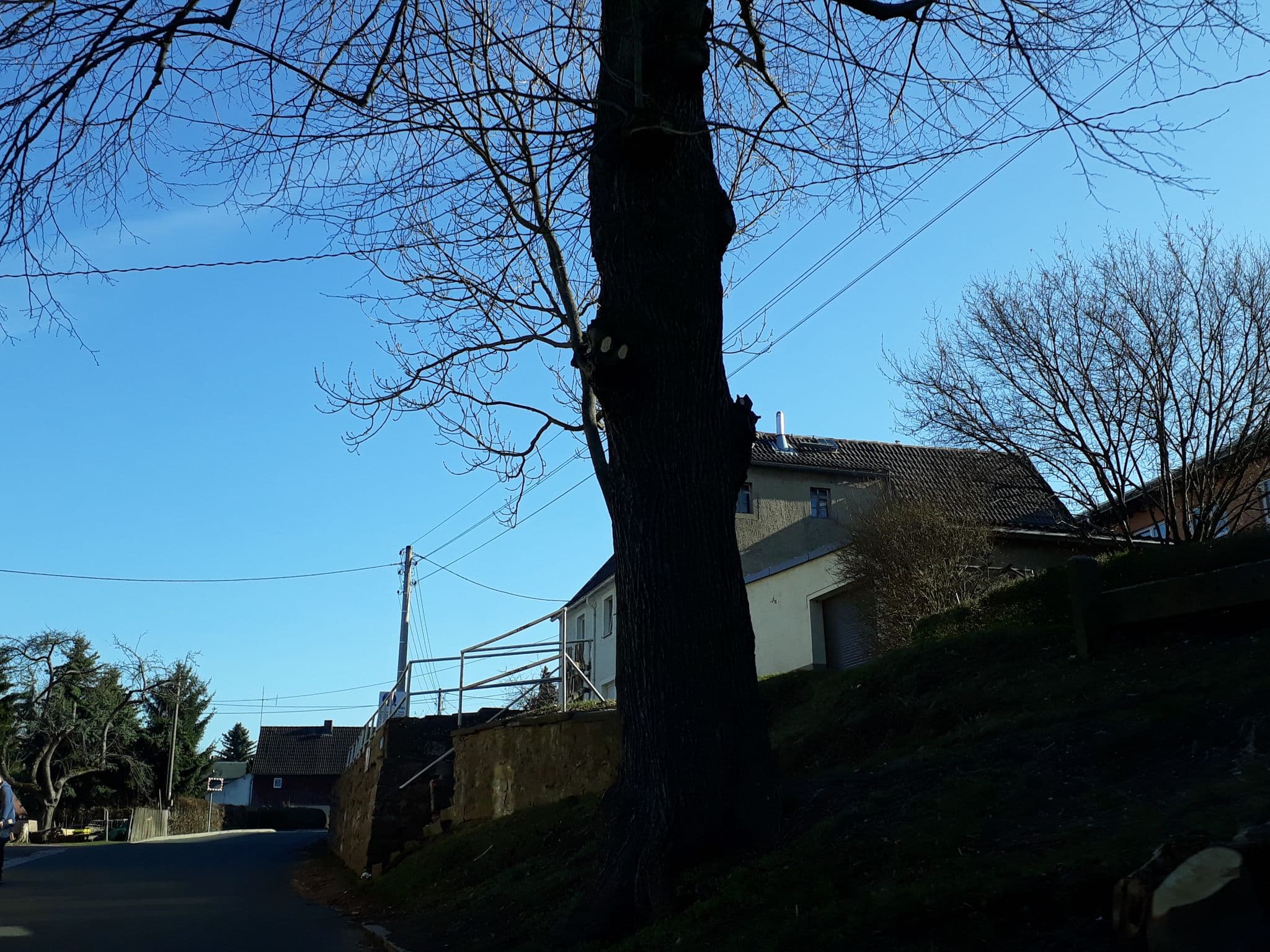 Street view near Die fröhliche Einkehr, Nossen — © thomas (CC BY-SA · Mapillary)