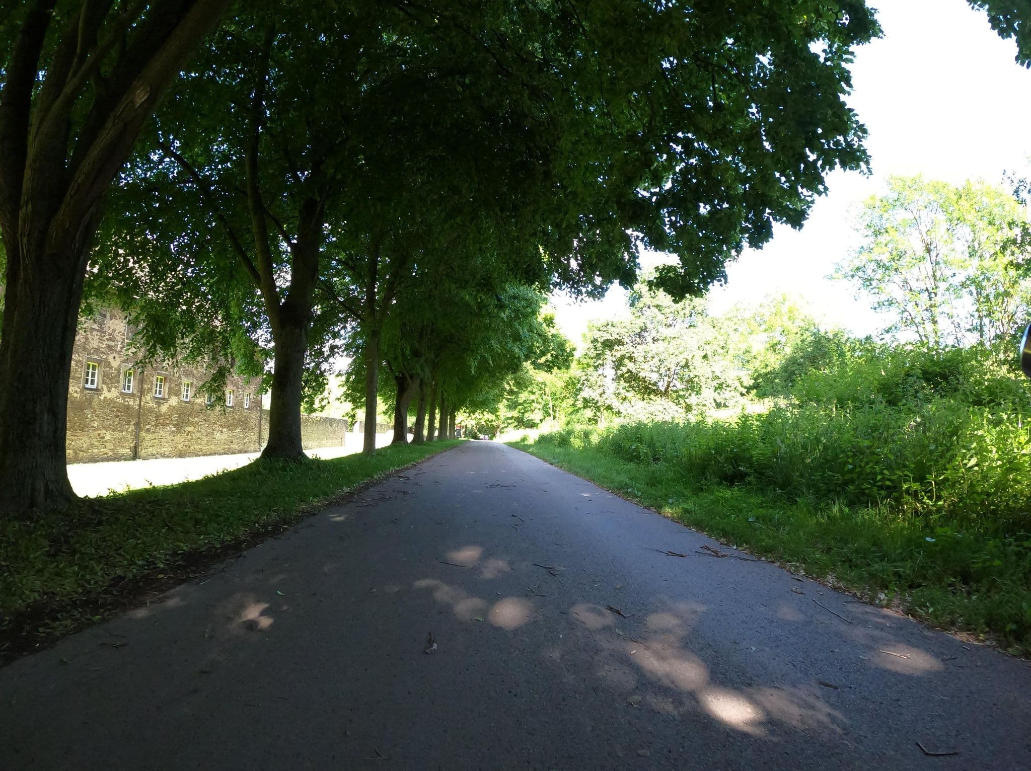 Street view near Weser AktivHotel Corvey, Höxter — © Langfahrer (CC BY-SA · Mapillary)