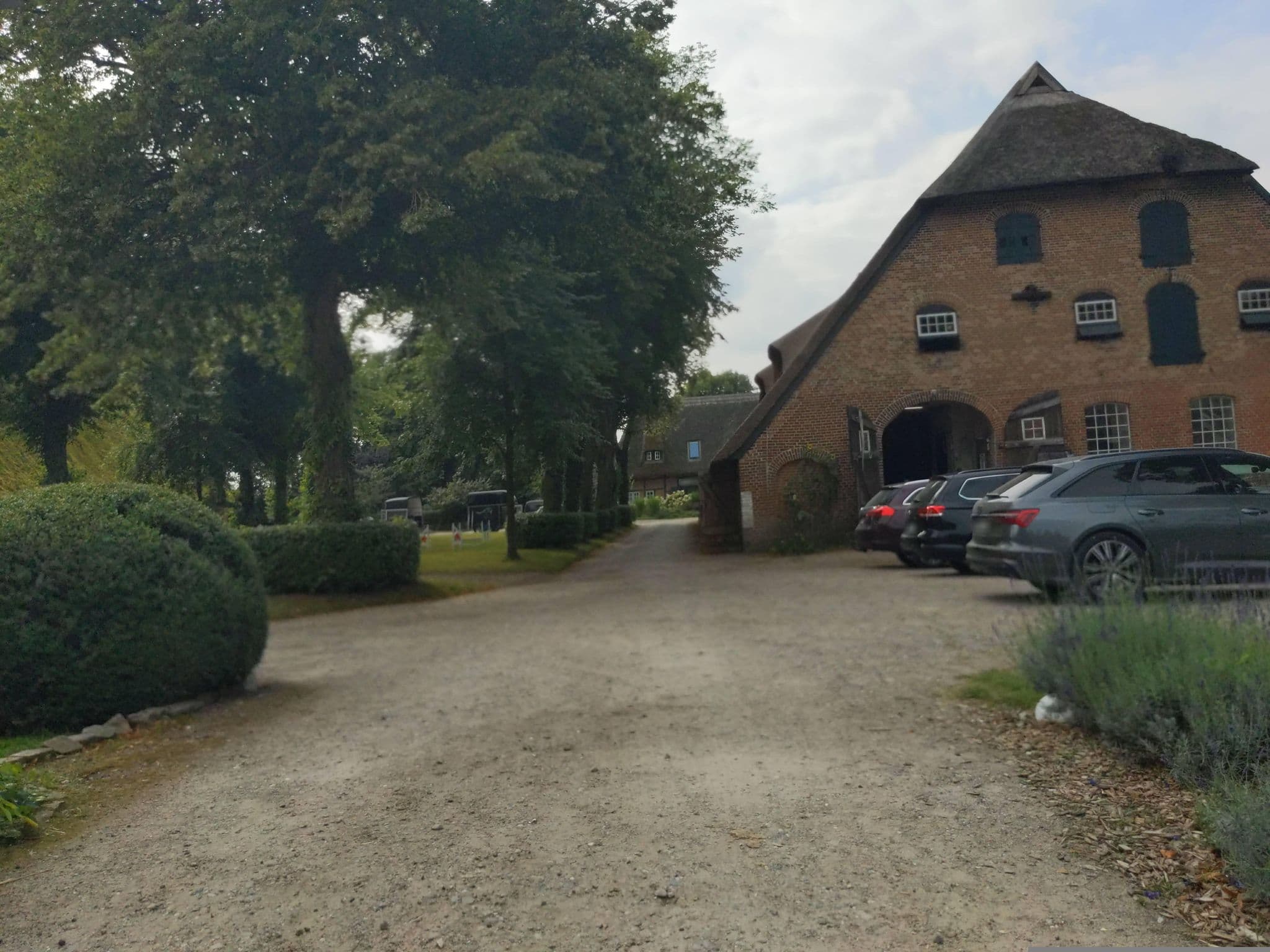 Street view near Gut Friederikenhof, Wangels — © rasmustravemnd (CC BY-SA · Mapillary)