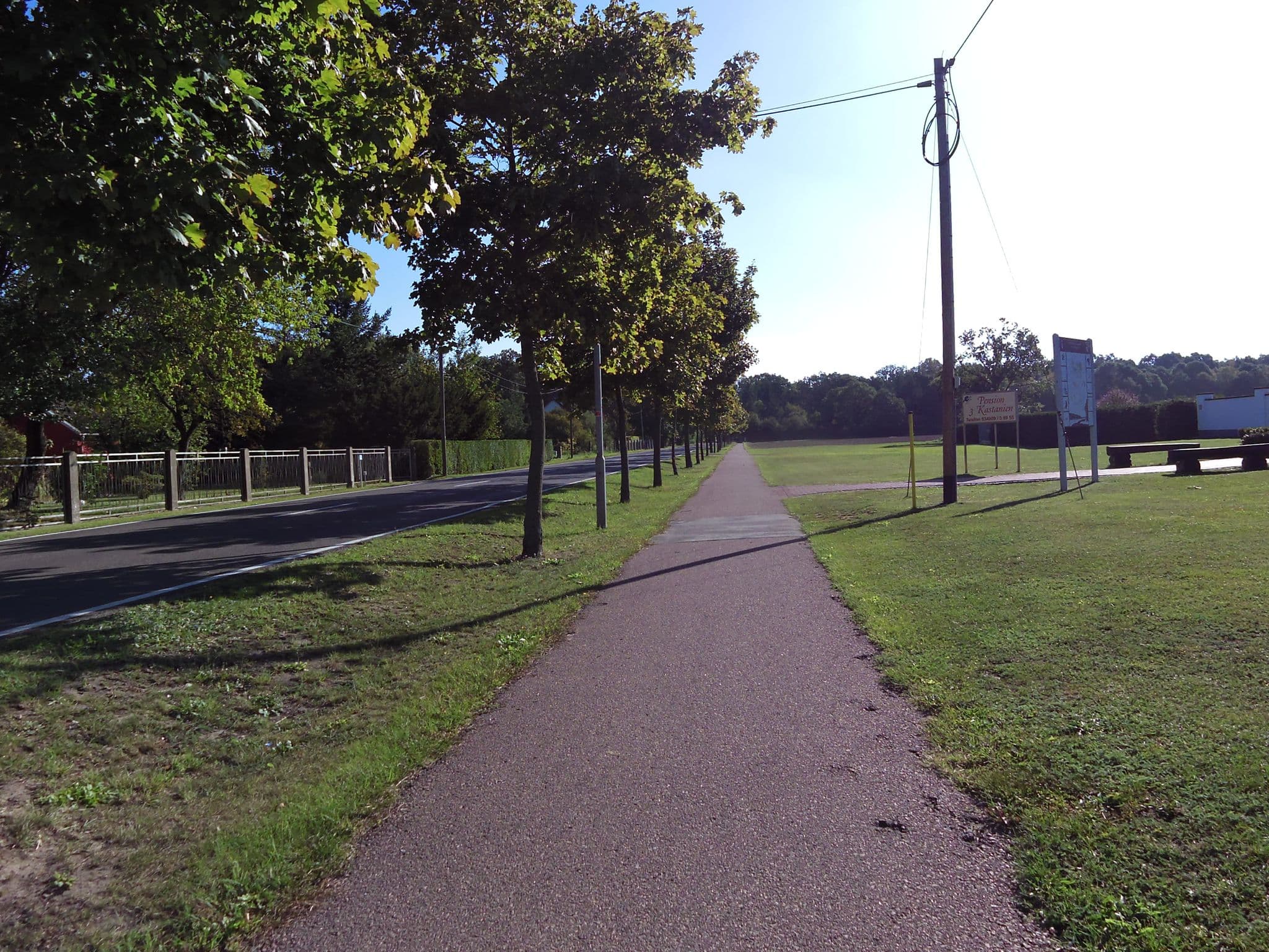 Street view near Pension 3 Kastanien, Aken — © zoegglmeyr (CC BY-SA · Mapillary)